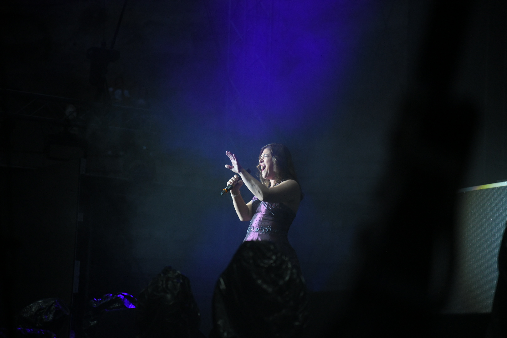 Koncert grupe Beogradski sindikat