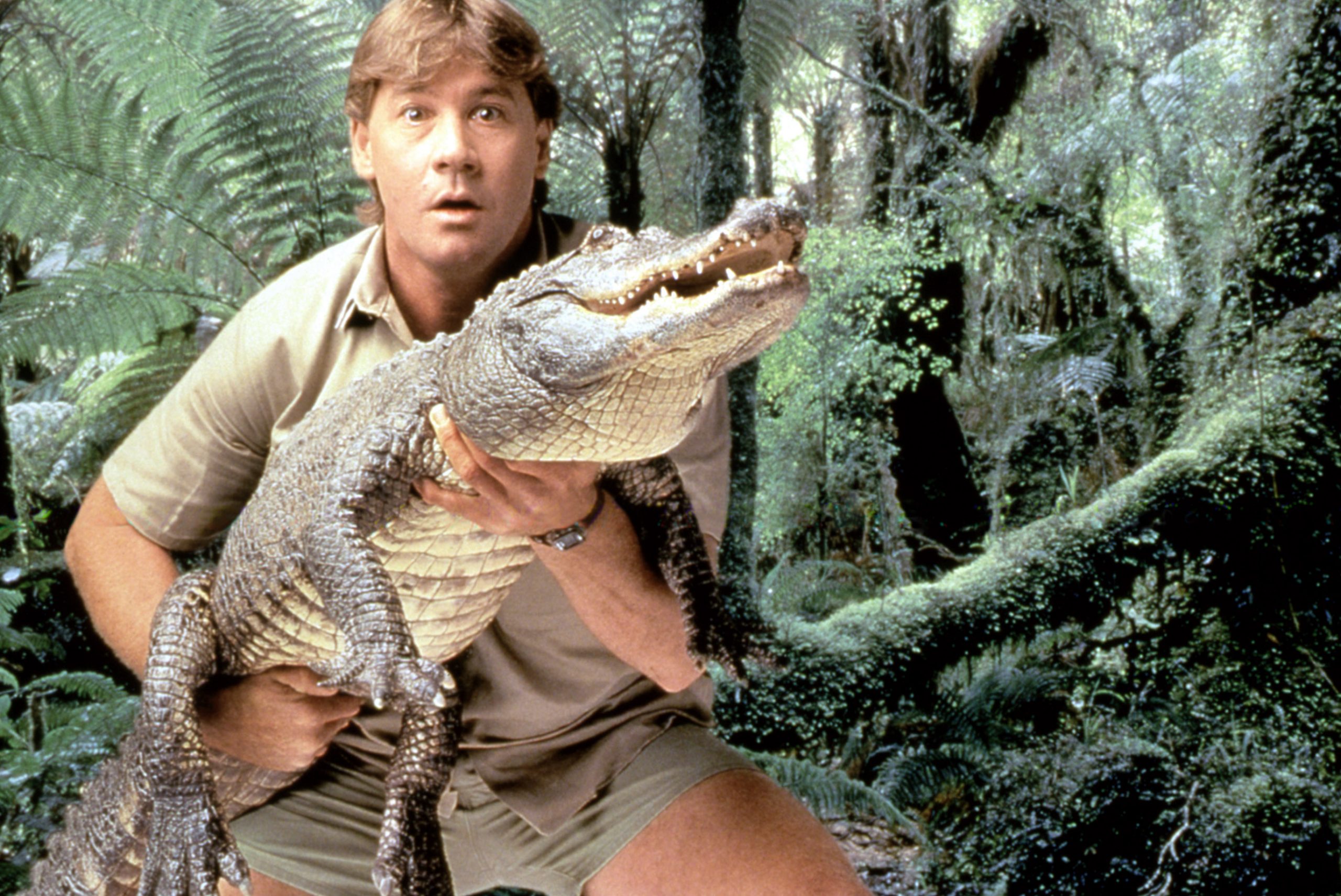 Foto: Animal Planet Collection / Everett / Profimedia