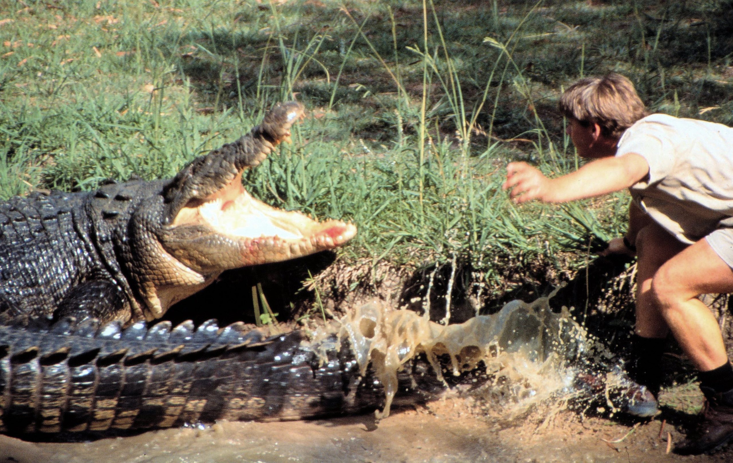 Foto: Animal Planet Collection / Everett / Profimedia