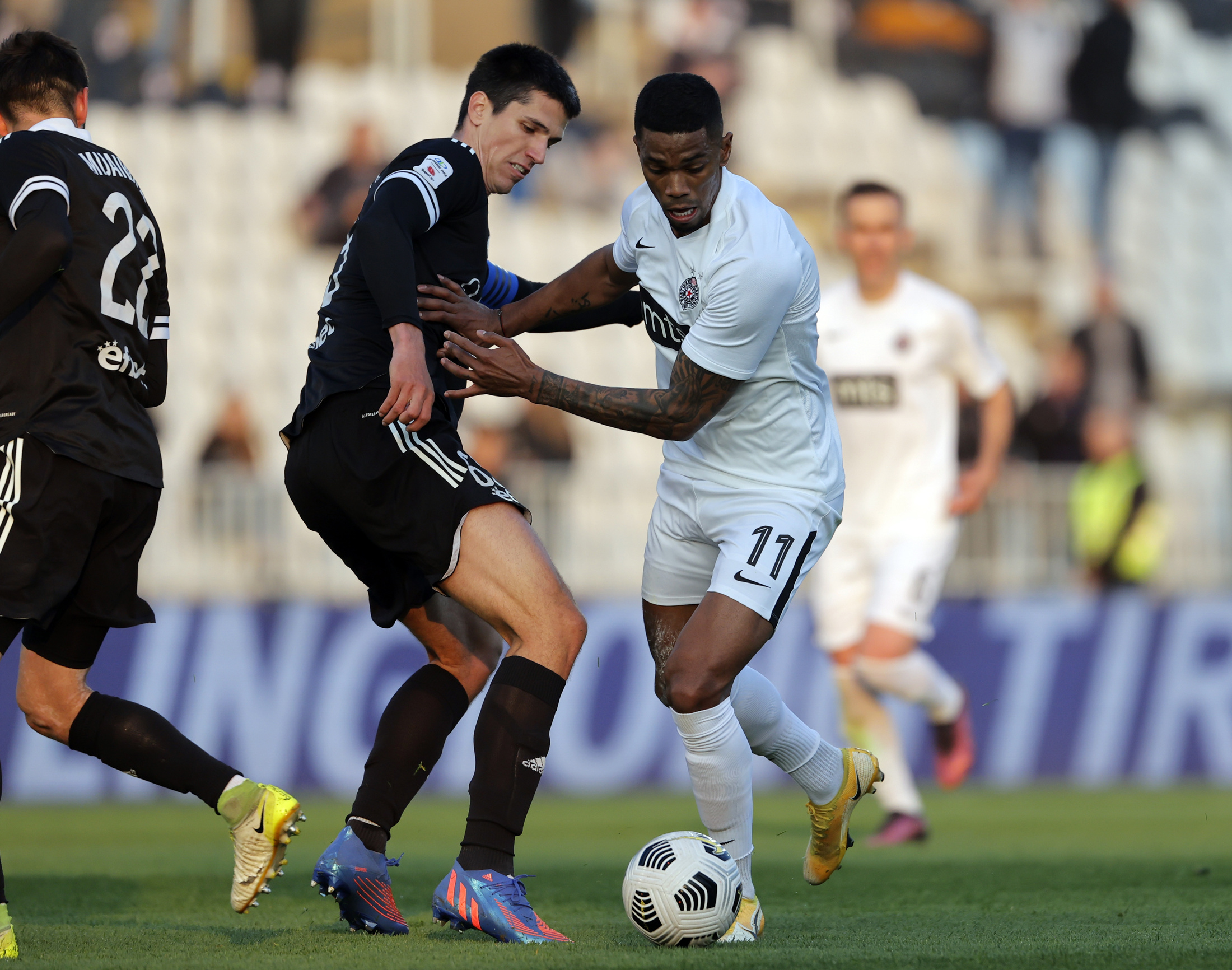 partizan-cukaricki-167482