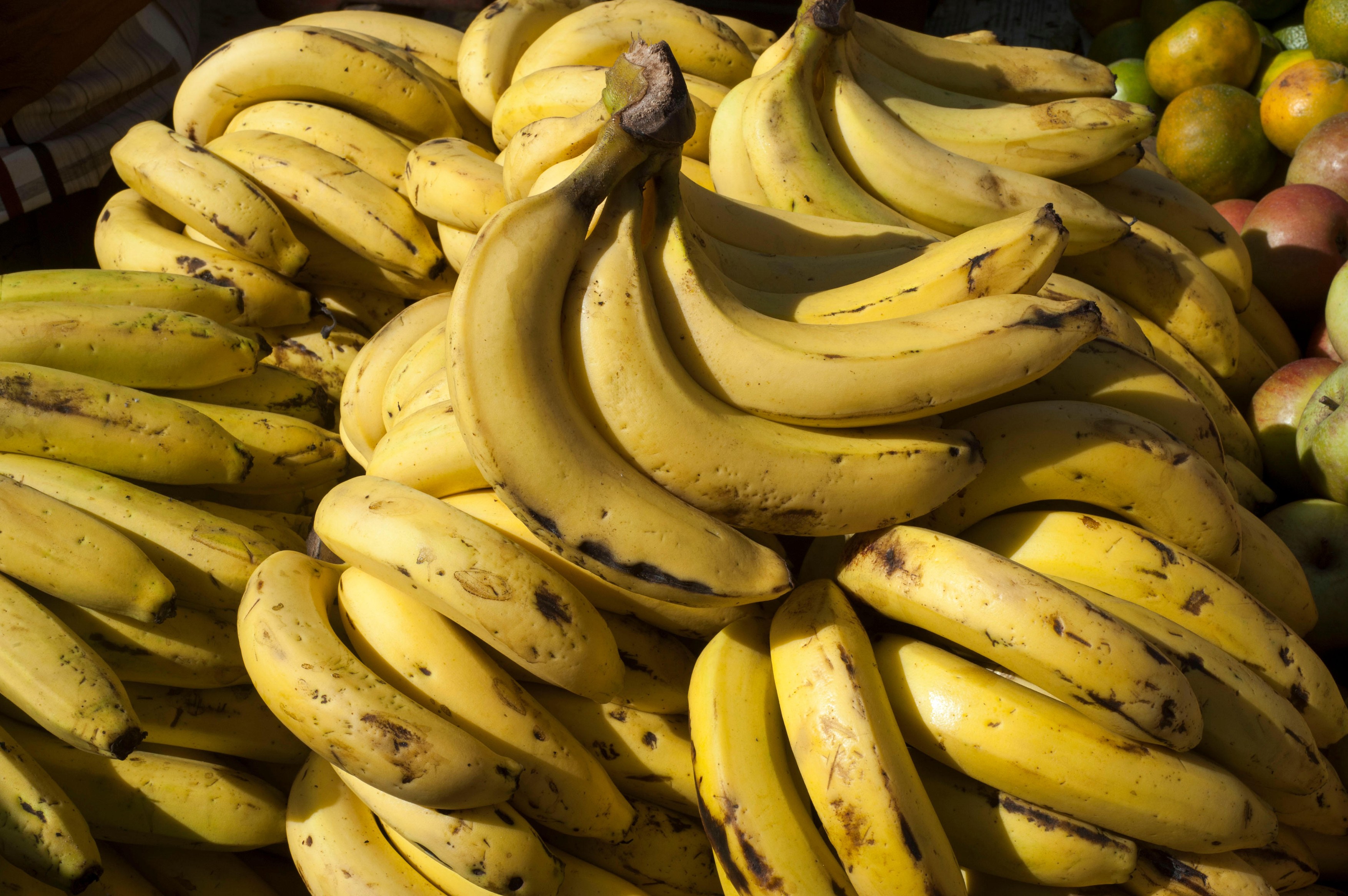 The banana is an edible fruit, botanically a berry produced by several kinds of large herbaceous flowering plants in the genus Musa,Image: 307574297, License: Royalty-free, Restrictions: , Model Release: no, Credit line: bodam / Alamy / Alamy / Profimedia