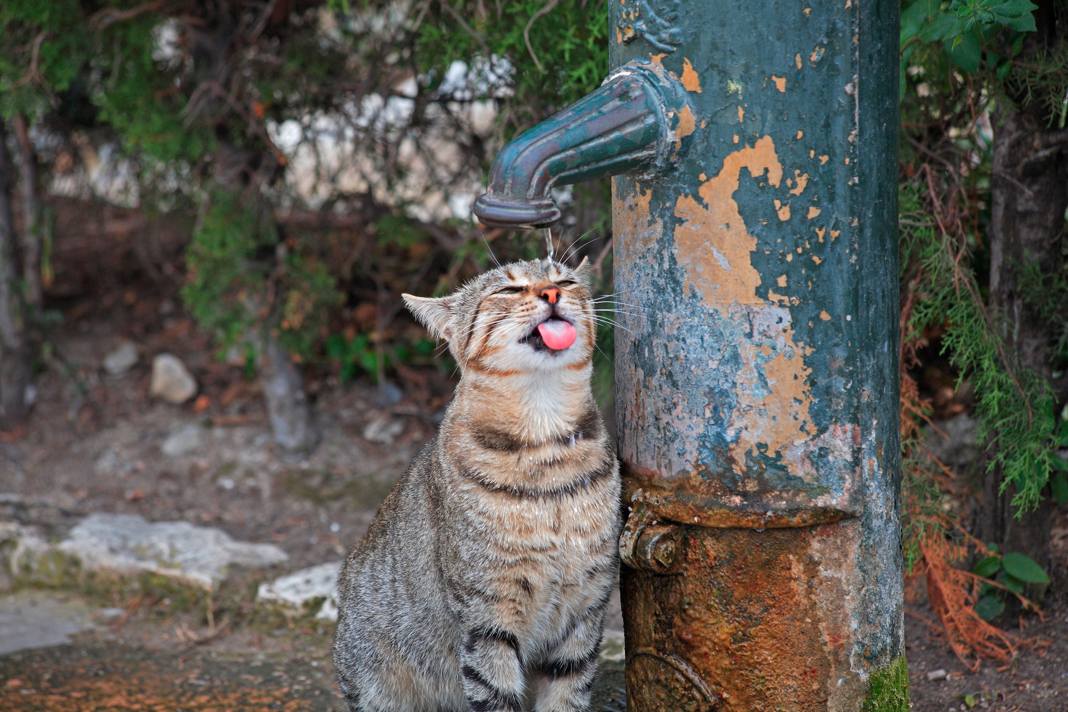 Image: 33896119, License: Rights-managed, Restrictions: , Model Release: no, Credit line: Anthony Burns / Alamy / Profimedia