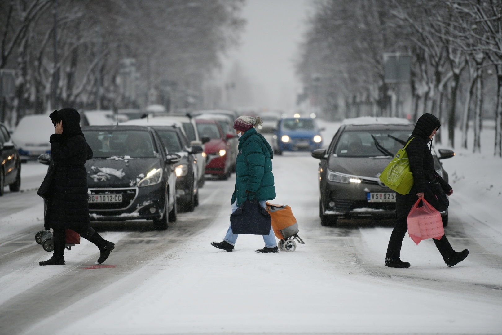 sneg Foto-vesna lalic nova rs