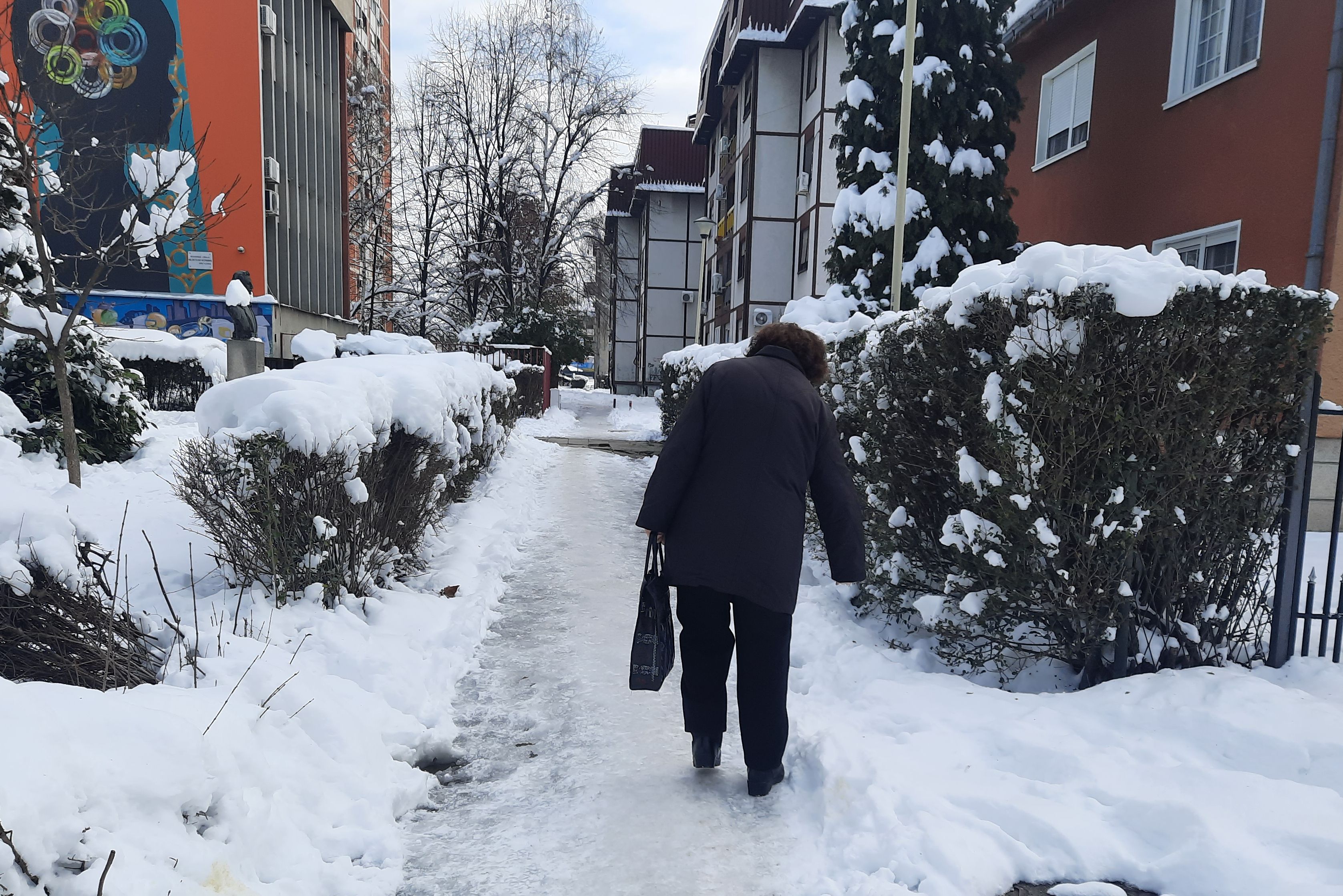 Kragujevac Sneg ljudi 2