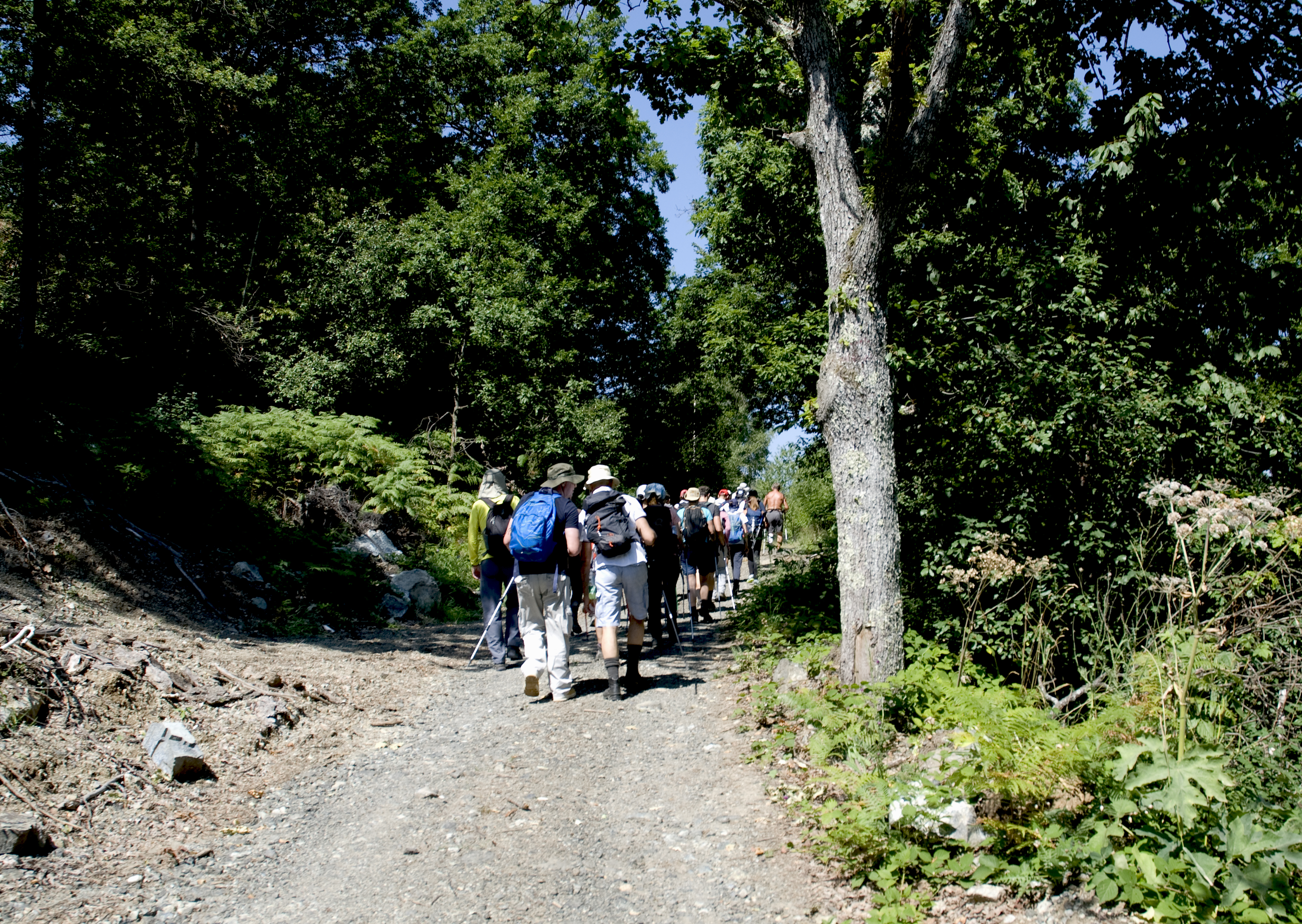 Kraljevo,,Serbia,/,Republic,Of,Serbia,-,August,,11th,,2019.: