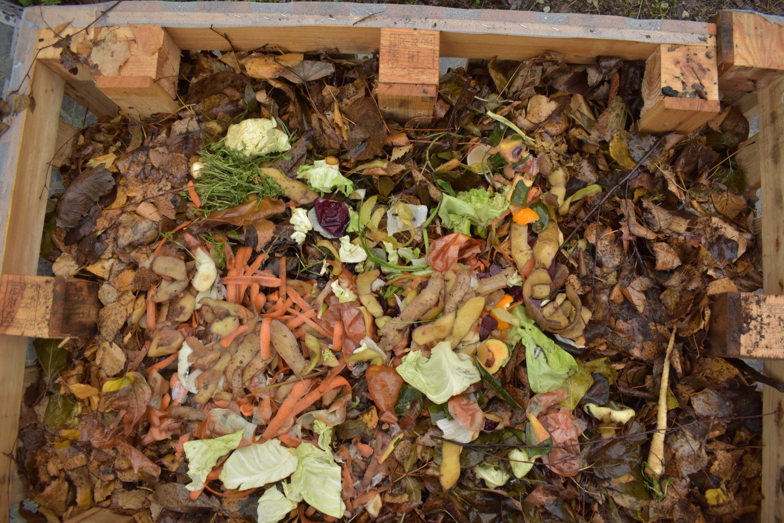 zero waste, održivi život