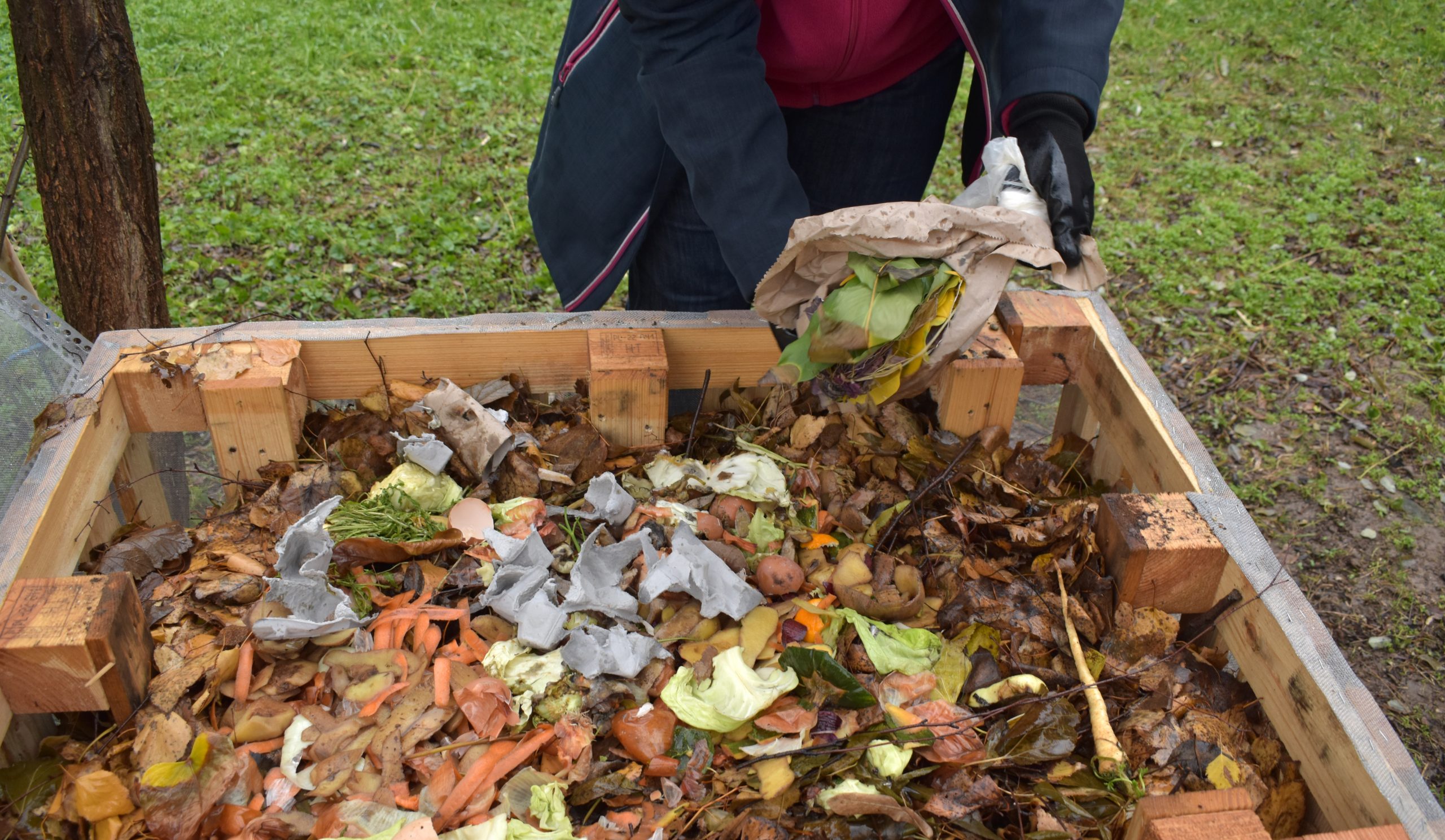 zero waste, održivi život
