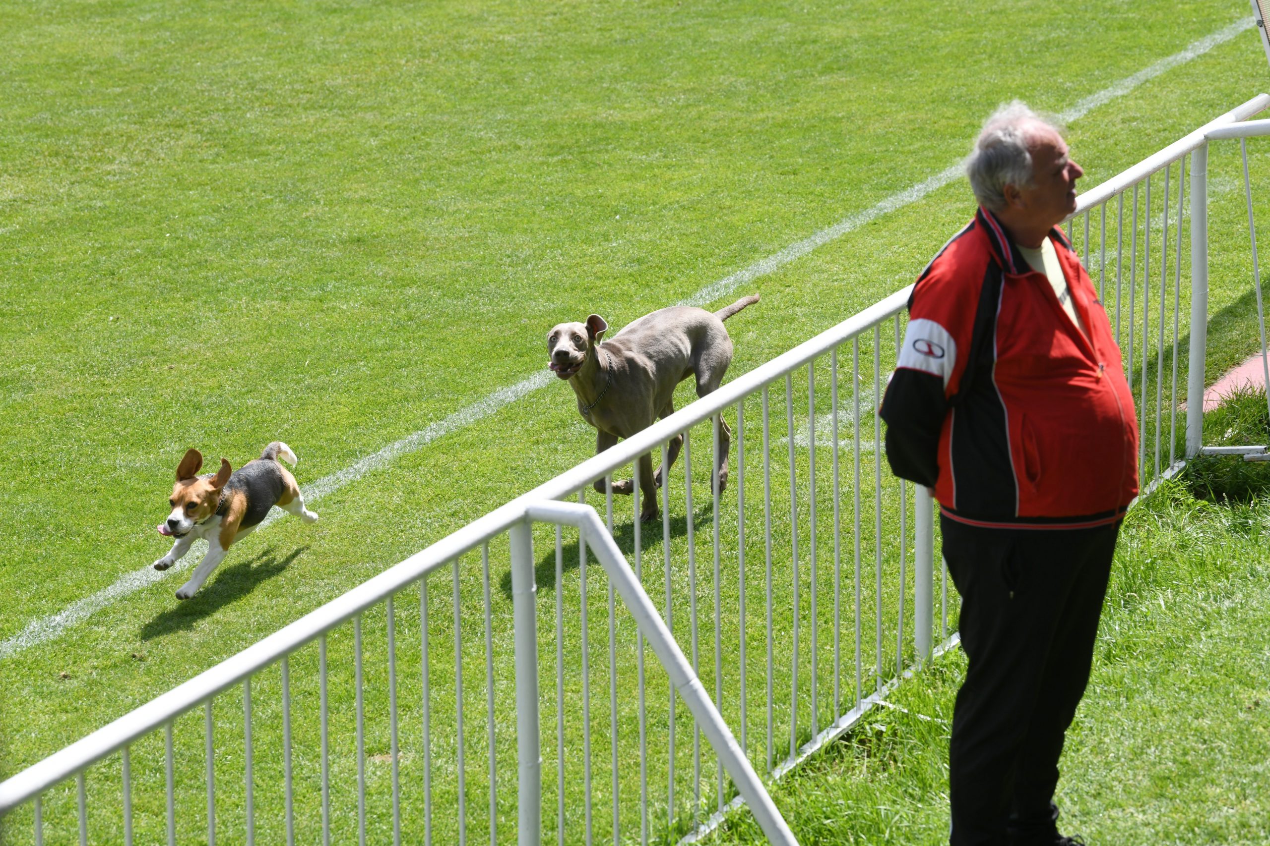 beograd 08.05.2022 reportaza stadion lion, hajduk sa liona utakmica i rakovica
