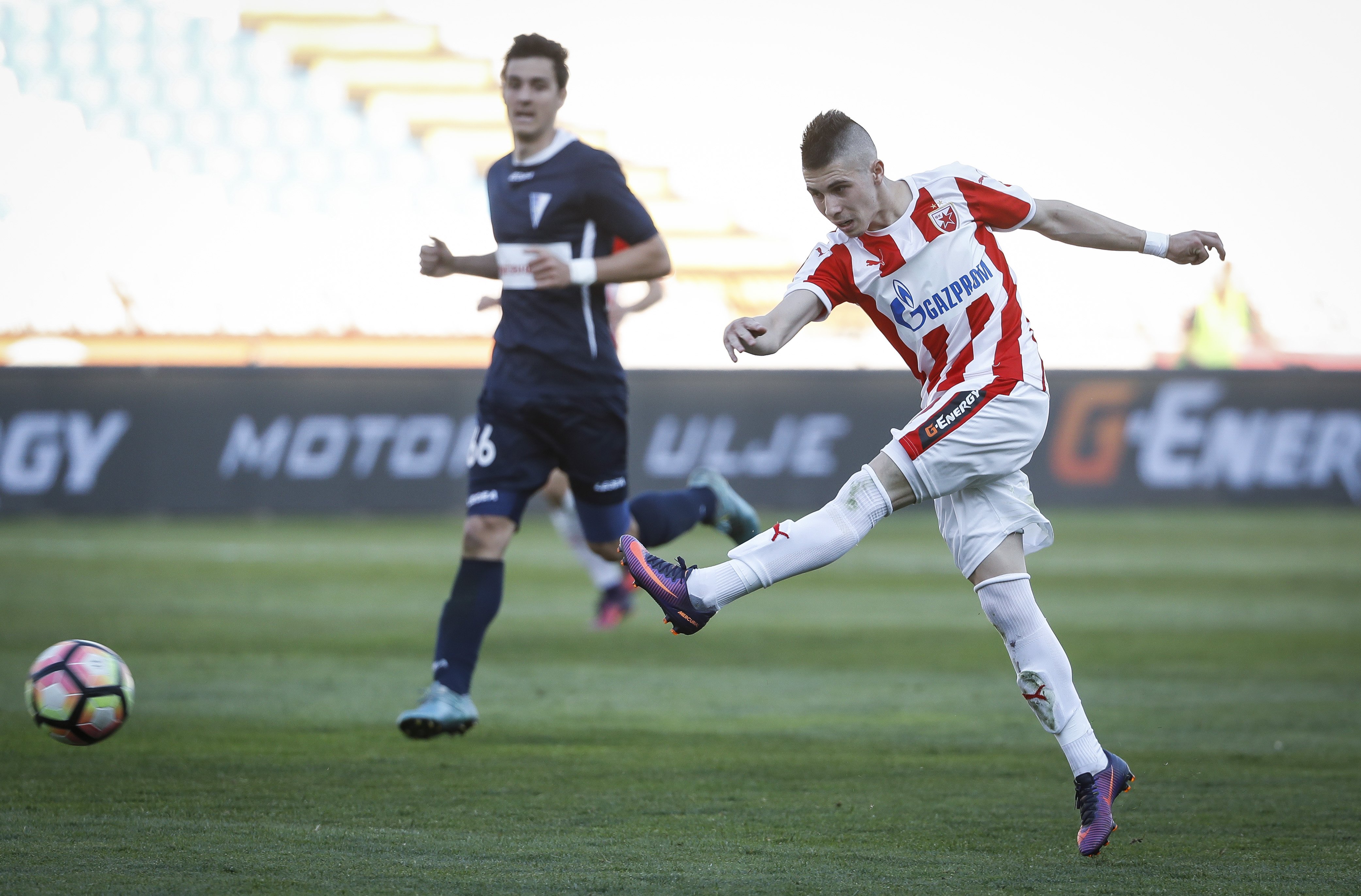Crvena Zvezda v Spartak-Super Liga