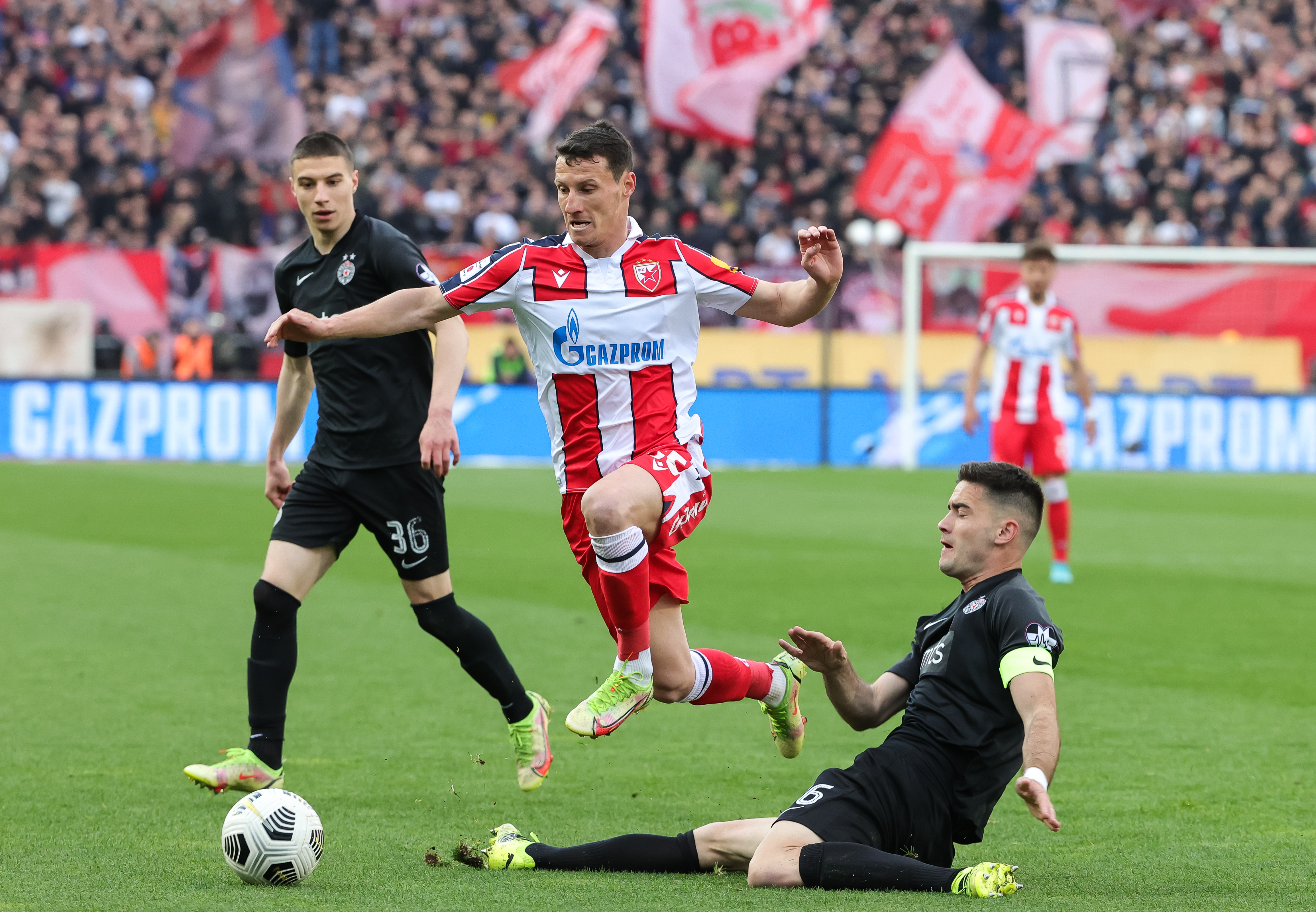 Crvena Zvezda v Partizan-Super League Season 2021/2022