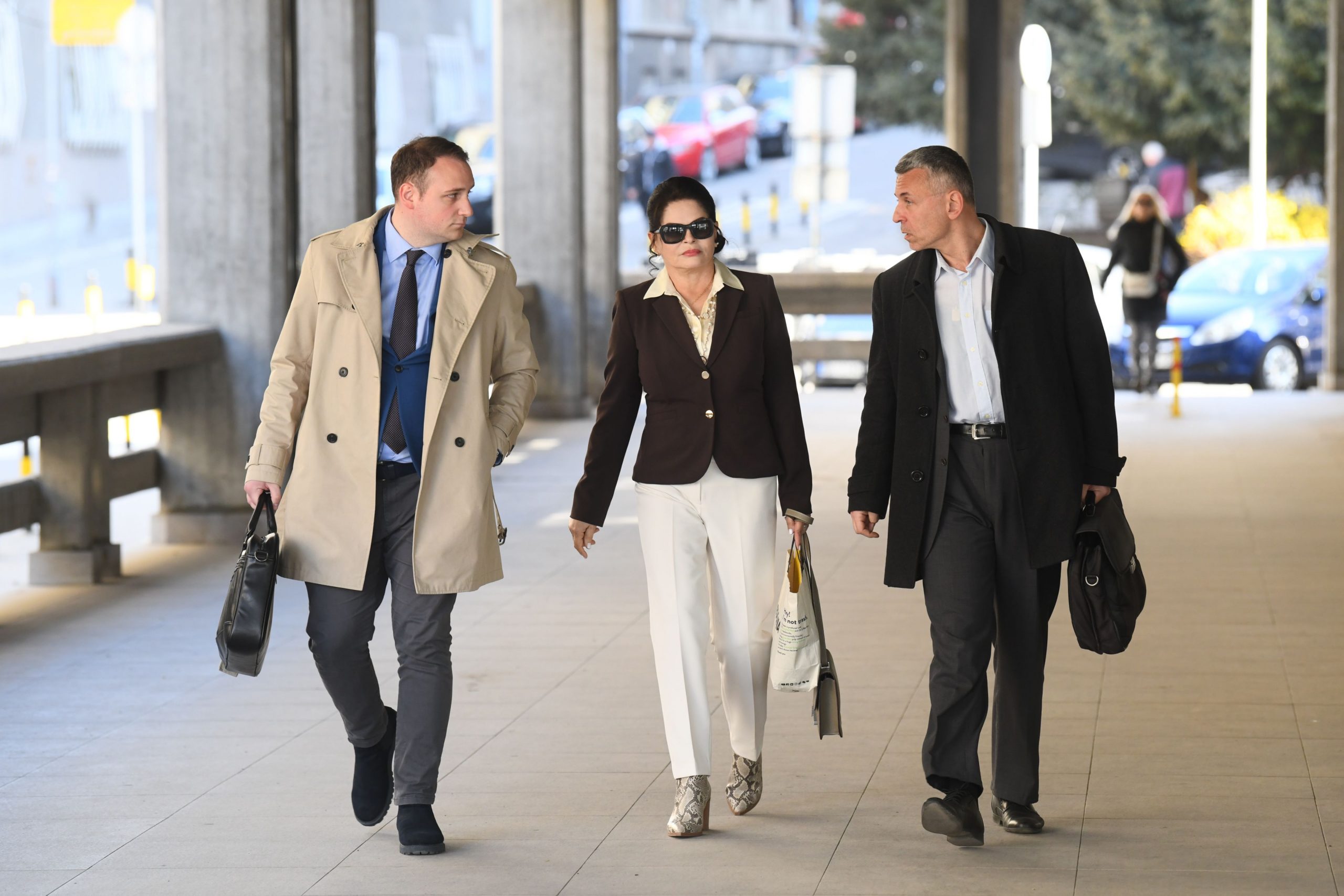 ljubavnica Miroslava Ilica Mirjana Antonović