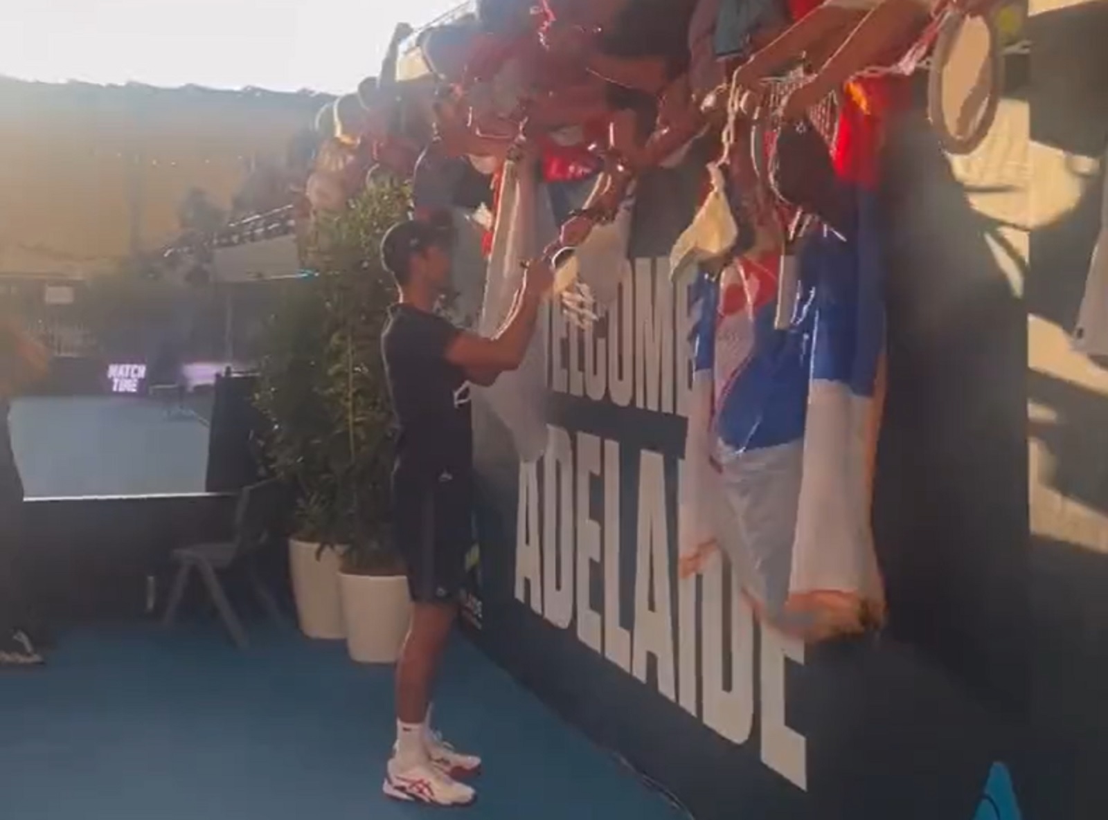 djokovic docek adelejd