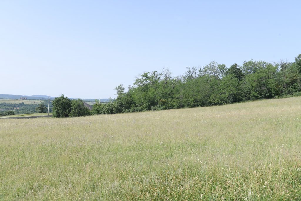 Kosmaj 27.05.2022.Džoni Dep , planina, kuća, plac, parcela Foto: Dragan Mujan/ Nova.rs