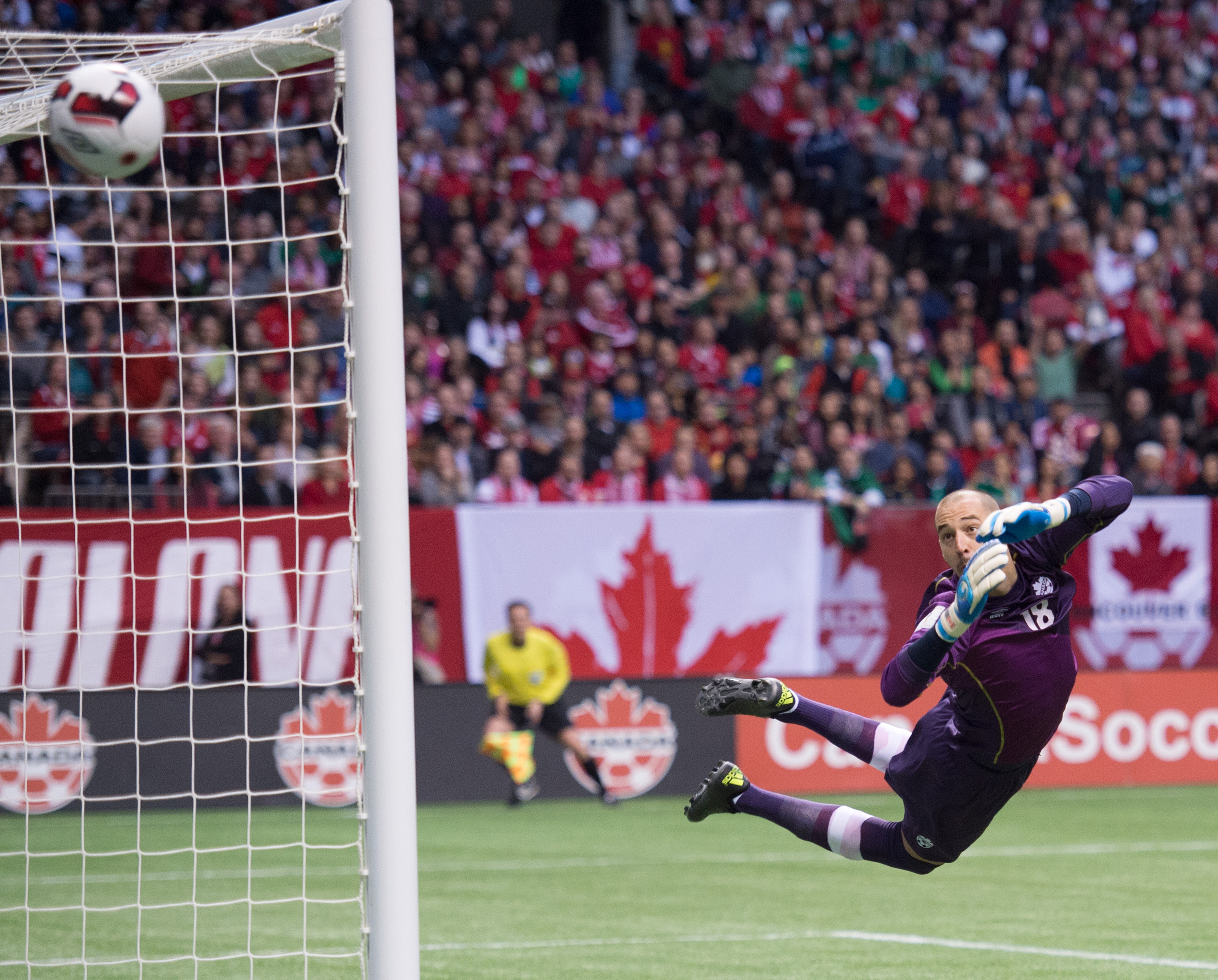 epa05231323 Canada's Goalkeeper Milan Borjan watches a ball go just wide during  the FIFA World Cup 2018 qualification match between Canada and Mexico at BC Place Stadium in Vancouver, British Columbia, Canada, 25 March 2016.  EPA/Nick Didlick