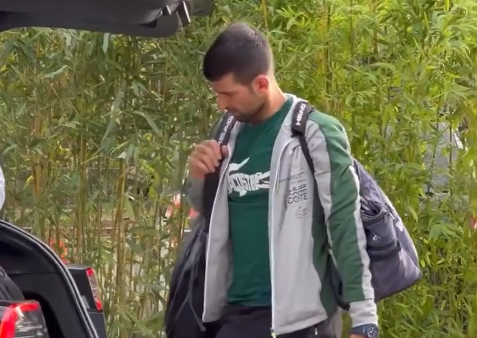 novak