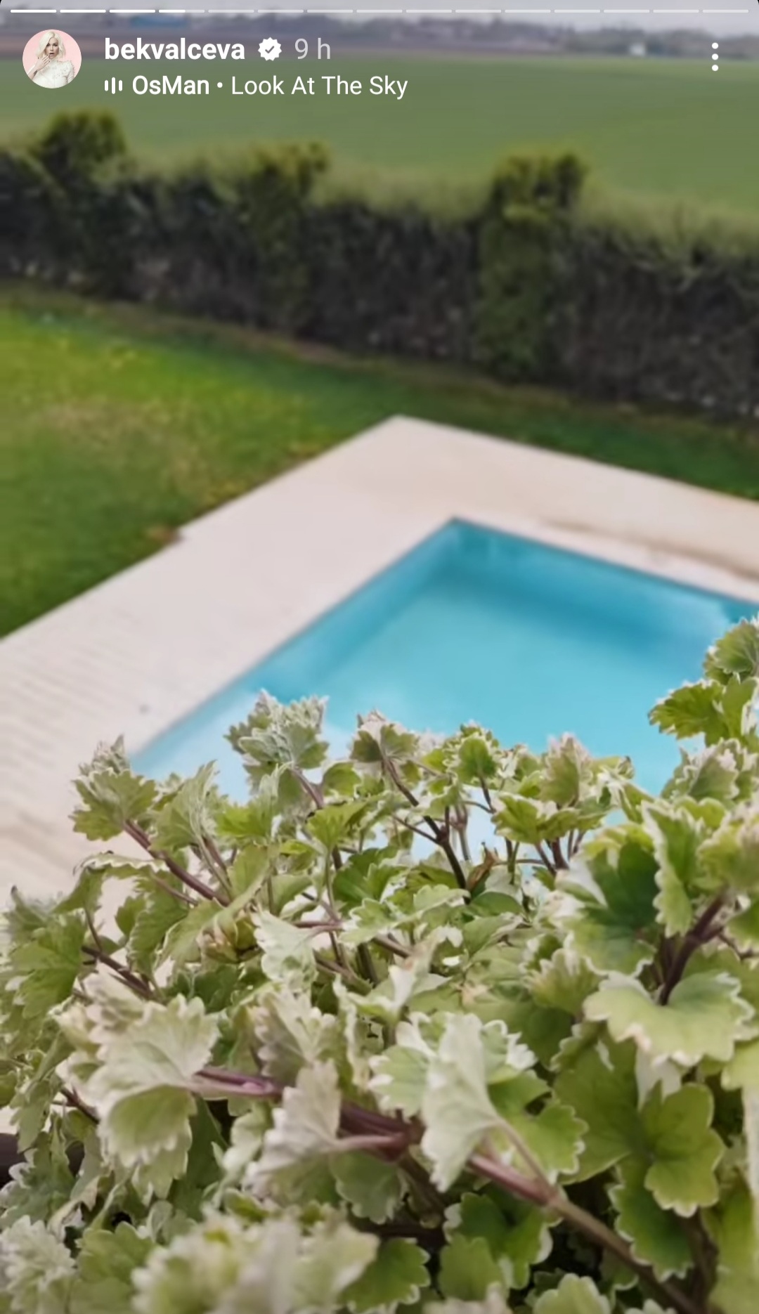 1650746260-Natasa-Bekvalac-Instagram-Printscreen-2.jpg