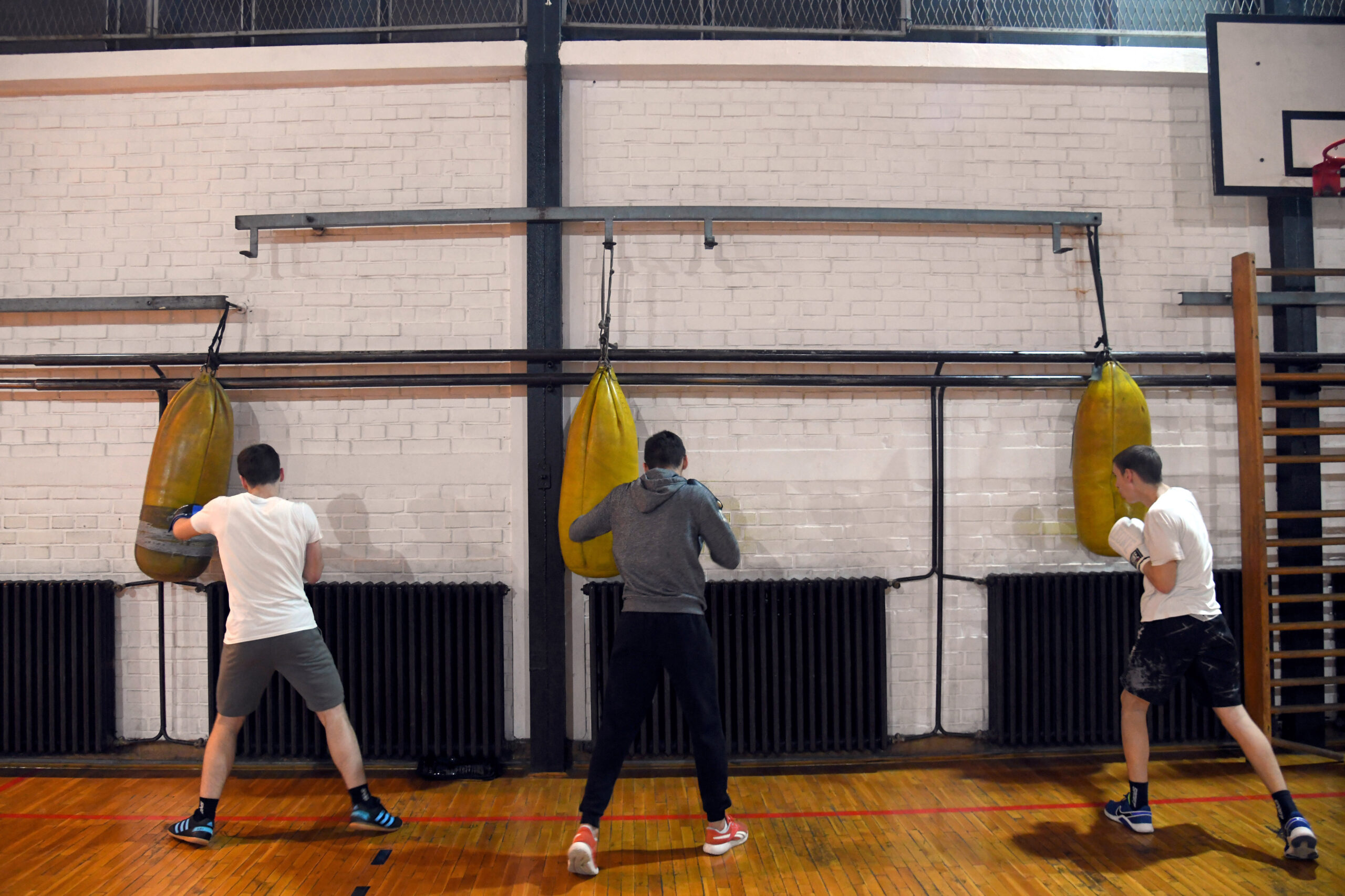 Pančevo 17.11.2022. bokserski klub Profesionalac-Pancevo
reportaza za sportsku