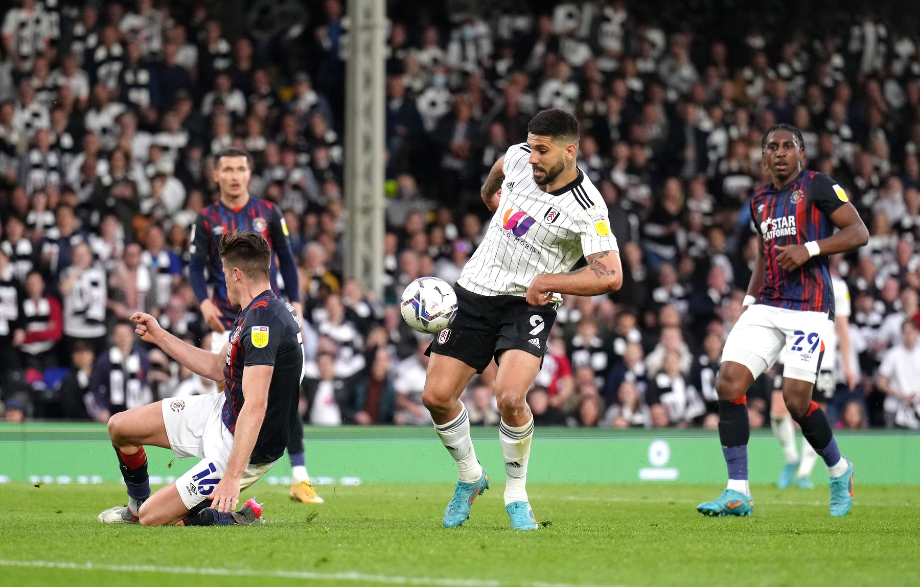 Fulham v Luton Town - Sky Bet Championship - Craven Cottage