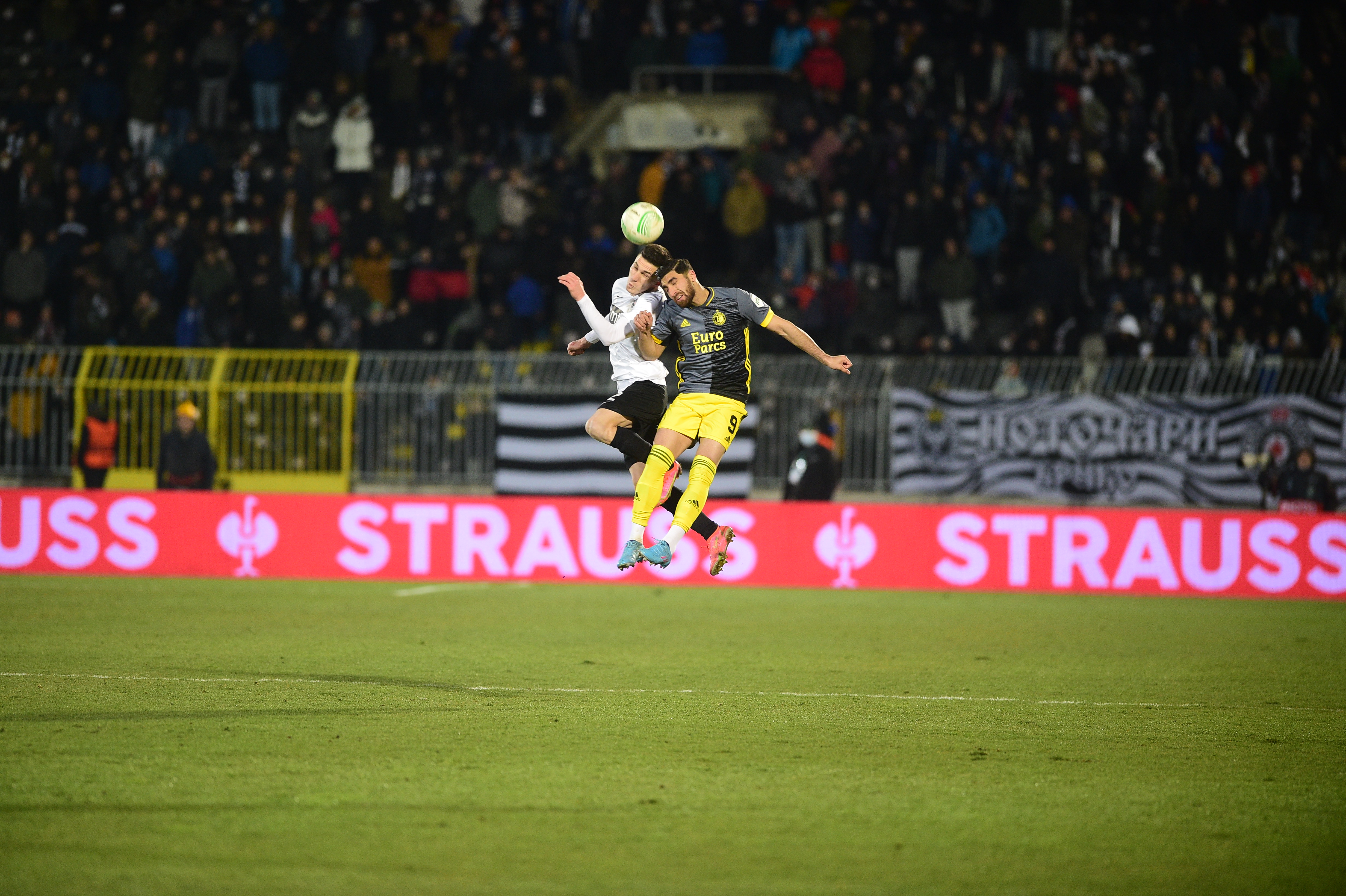 partizan-fejnord_287600