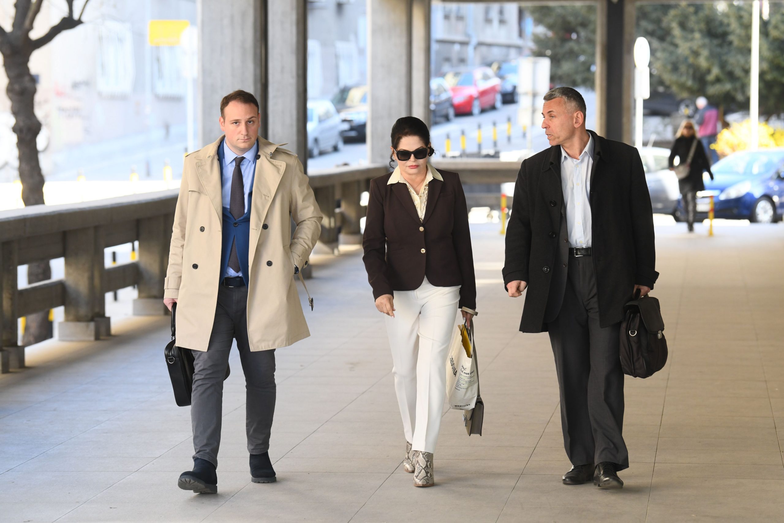 ljubavnica Miroslava Ilica Mirjana Antonović