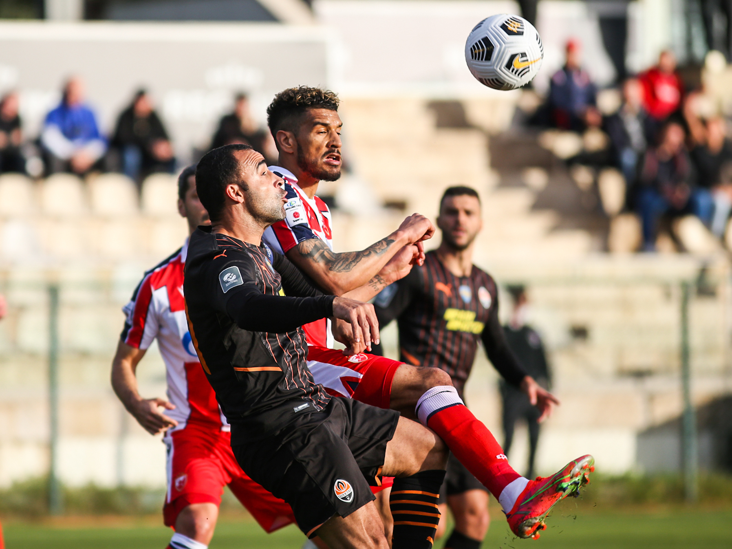 zvezda-sahtjor-48089