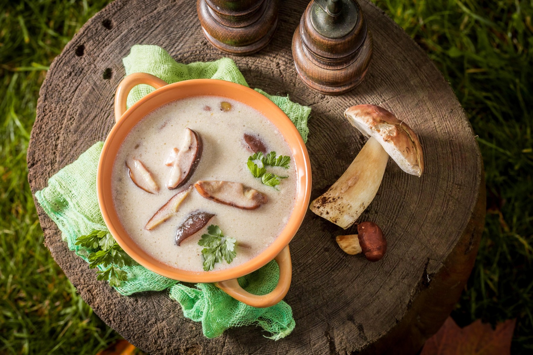 Image: 346794951, License: Royalty-free, Restrictions: , Model Release: no, Credit line: Jacek Nowak / Alamy / Alamy / Profimedia