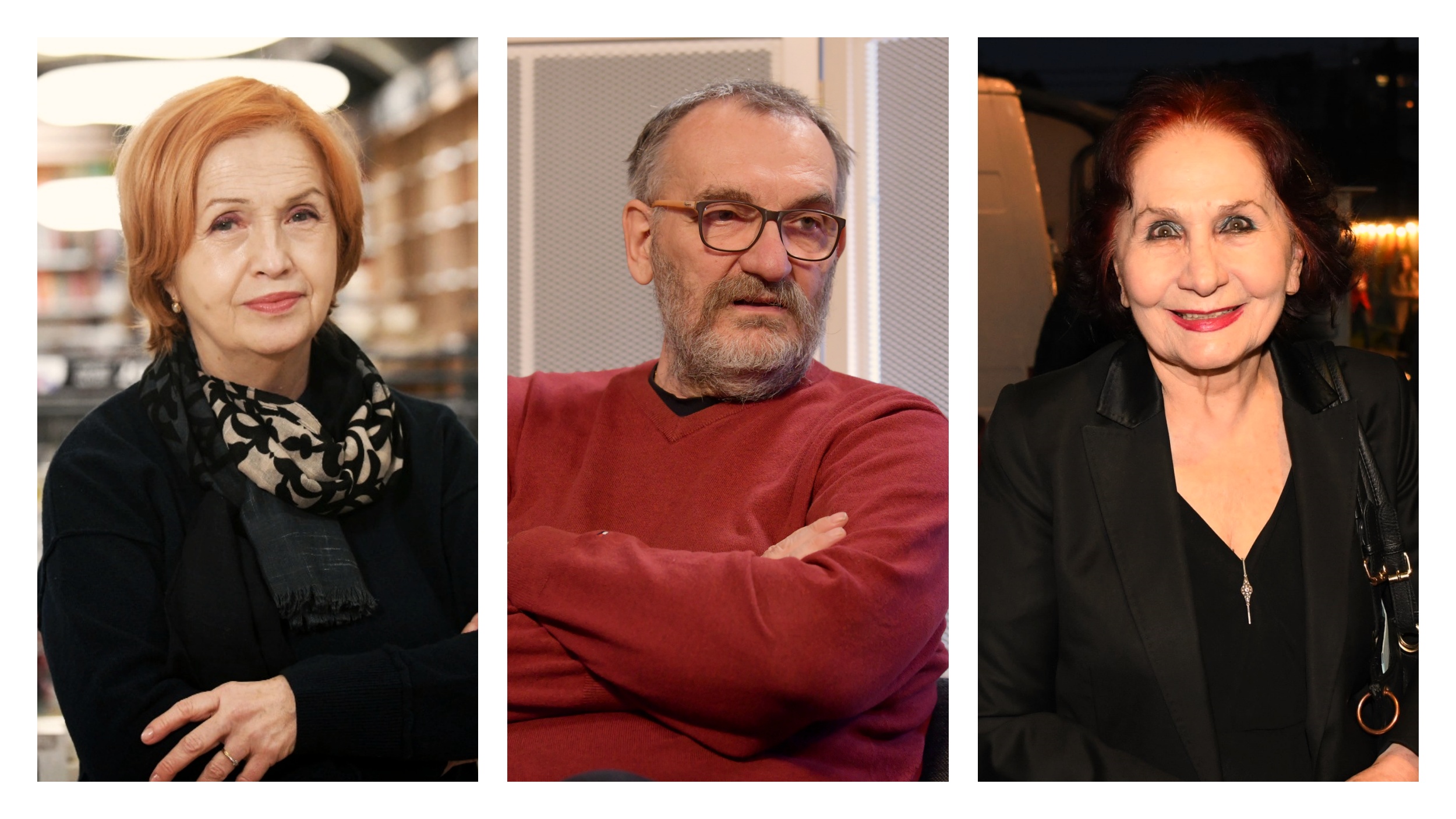 Ljubica Arsić, Siniša Kovačević, Vida Ognjenović kombo