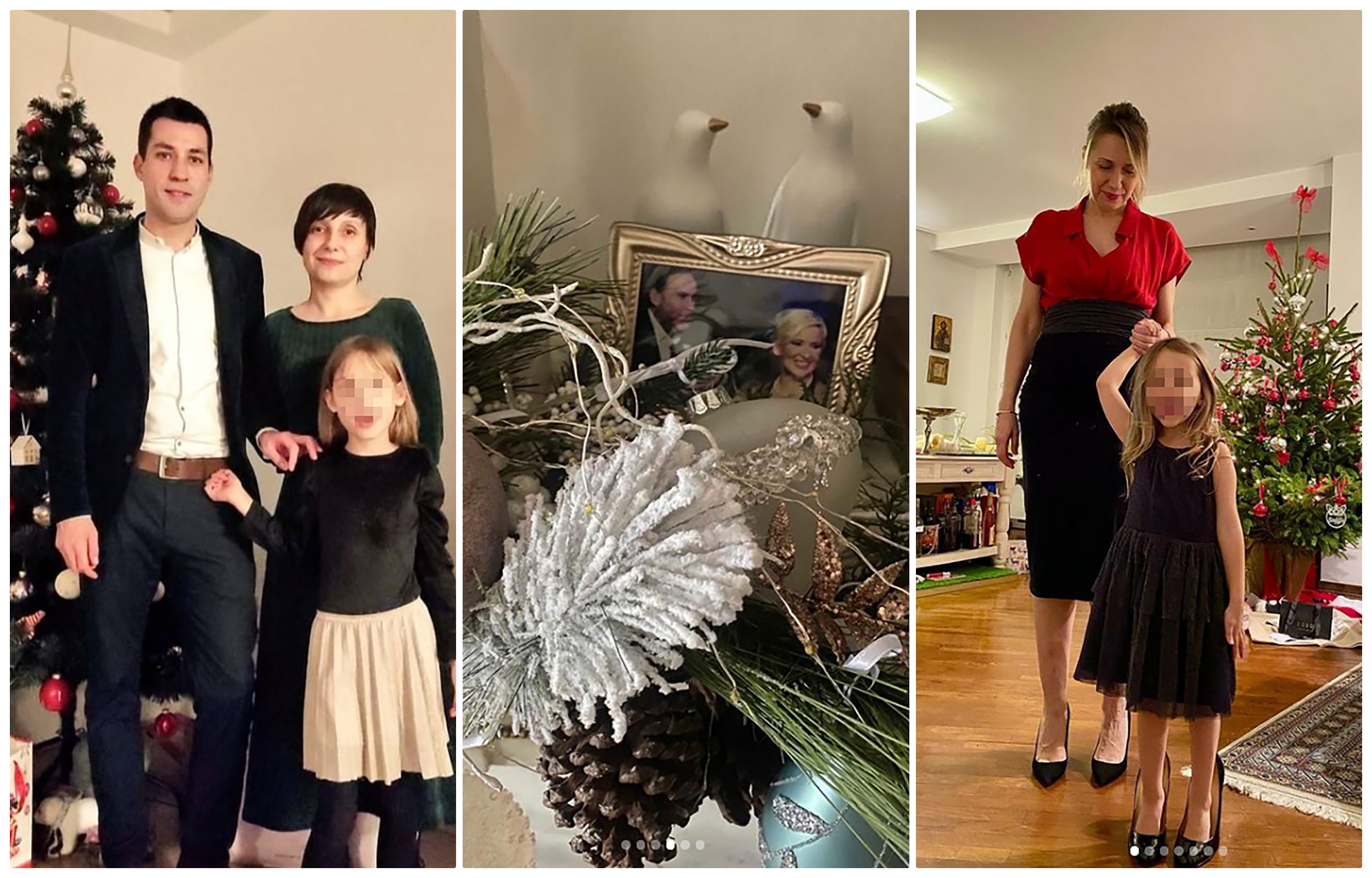 collage politicari ukraseni domovi