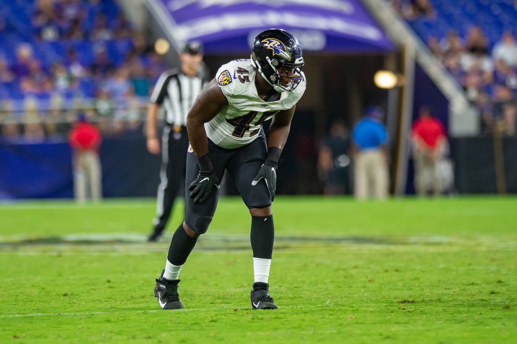 NFL: AUG 15 Preseason - Packers at Ravens