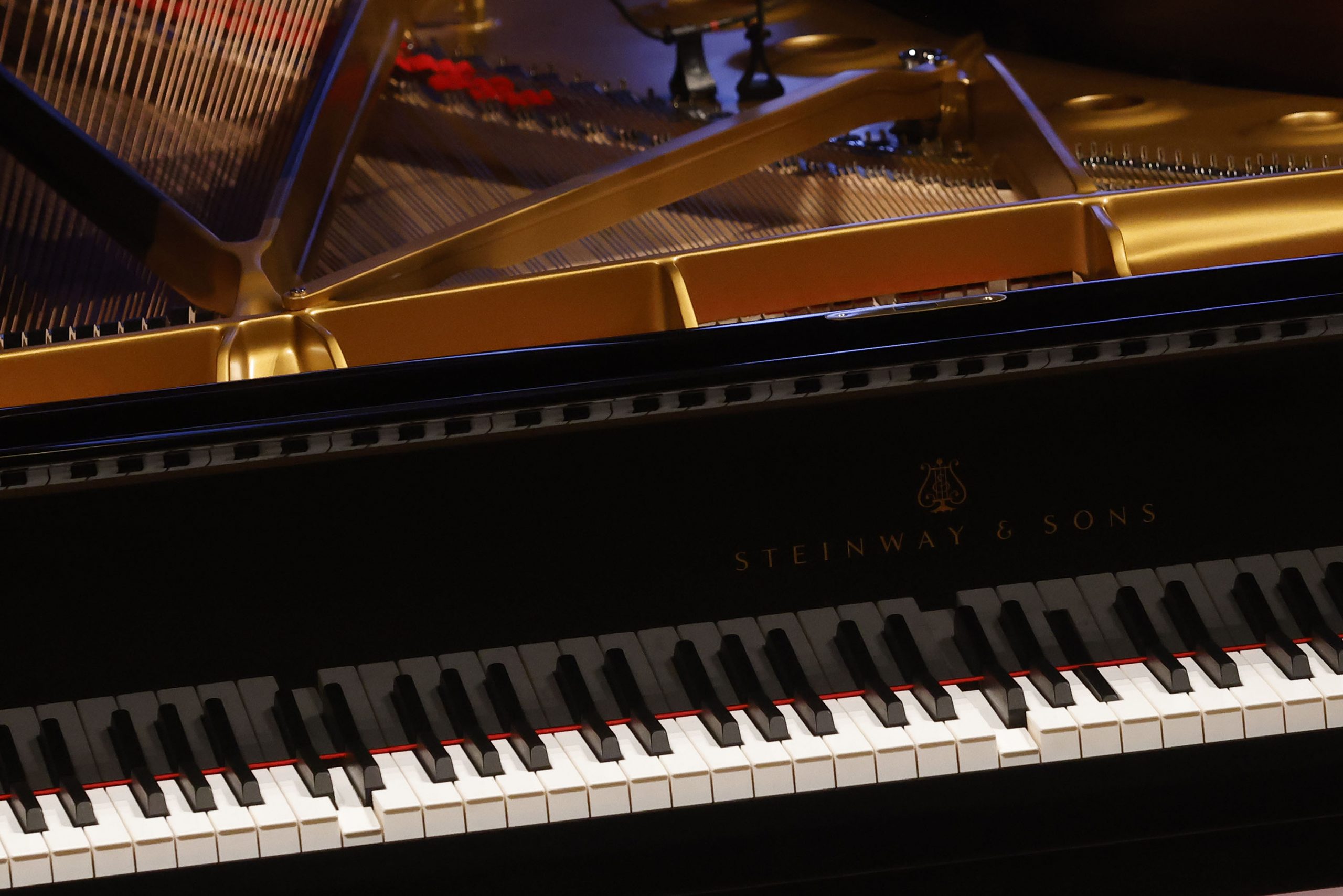 Filharmonija nastavlja Tasinu viziju
Prvi tonovi na novom instrumentu su bili Tasovčevi