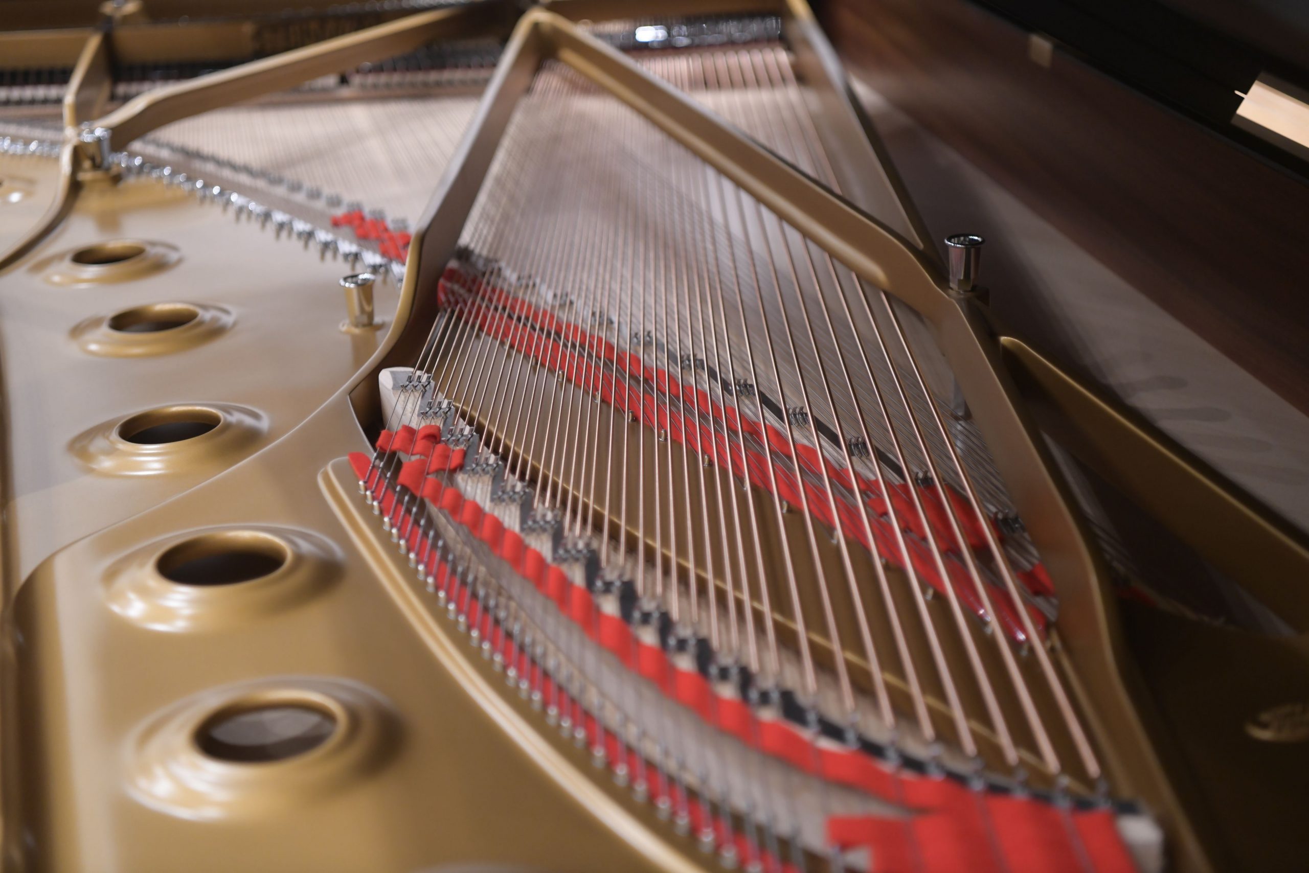 Beograd 29. septembar 2022. Beogradska fillharmonija klavir prezentacija klavira Steinway, Stenvej Spirio sa potpisom Ivana Tasovca Foto:Goran Srdanov/Nova.rs