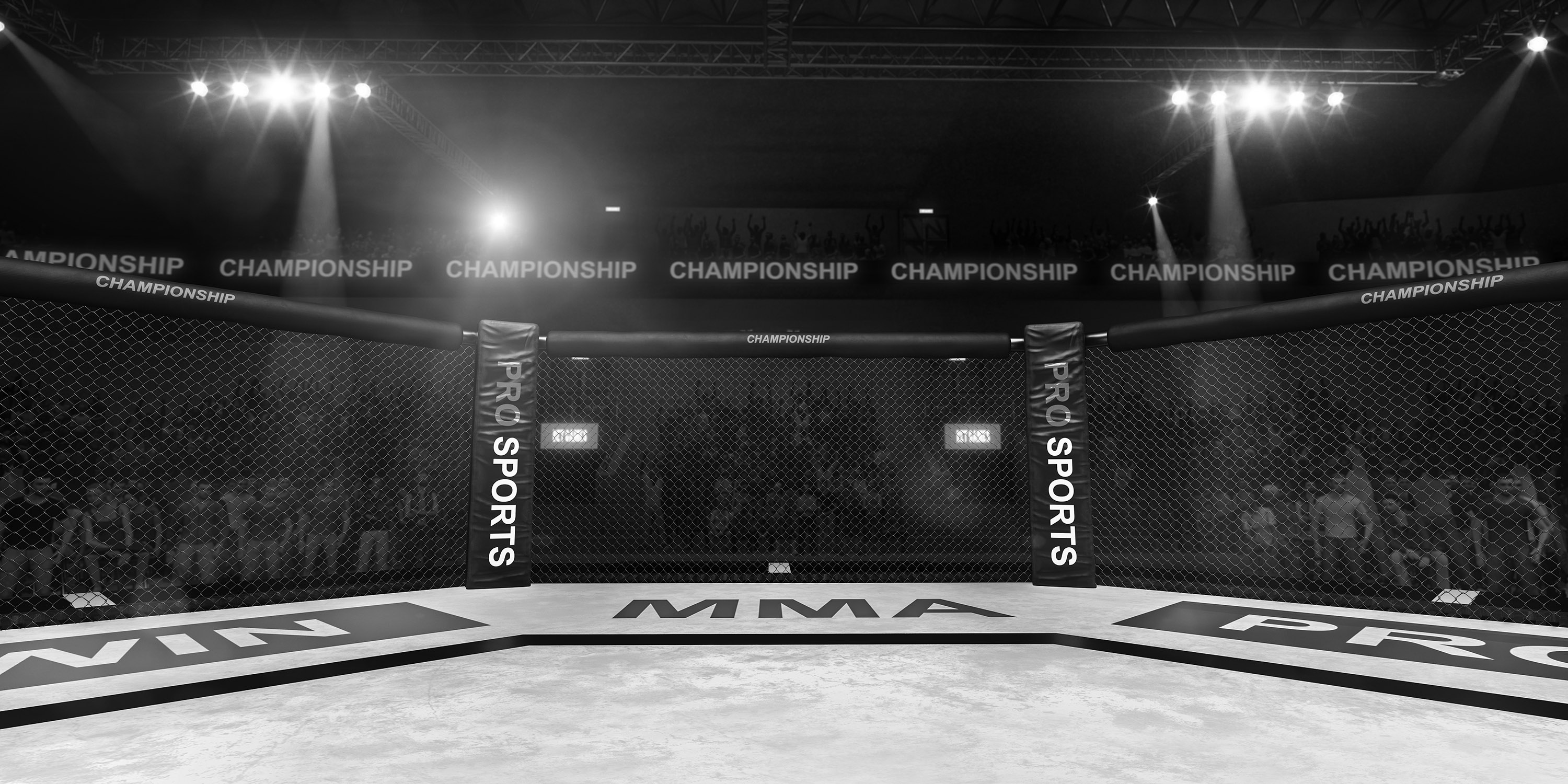 MMA, oktagon Foto: Shutterstock