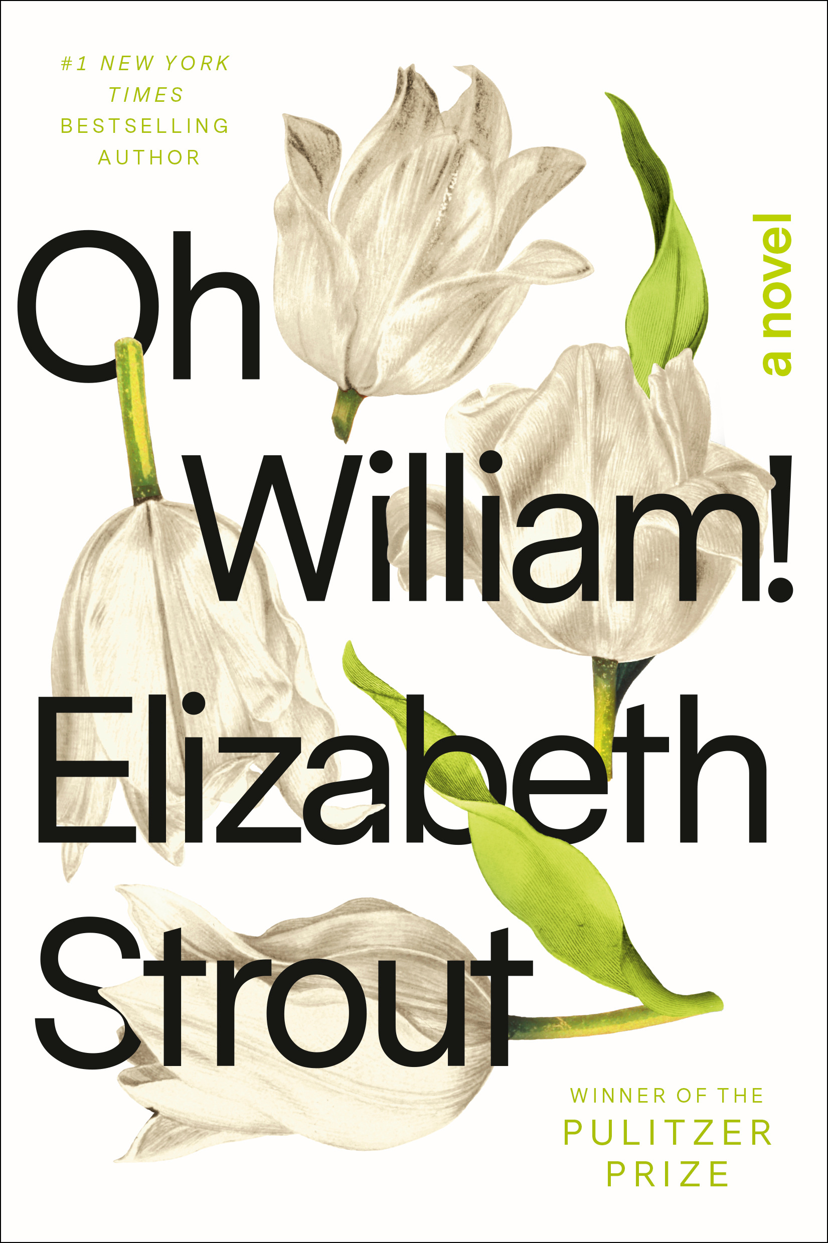 1666000072-Oh-William-by-Elizabeth-Strout.jpg