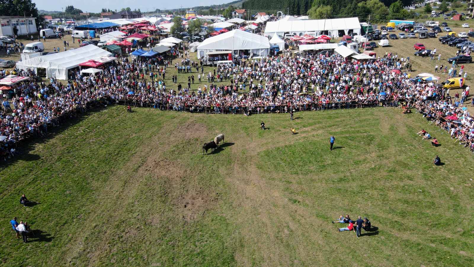 Kocicevi dani na Manjaci, Manjača
