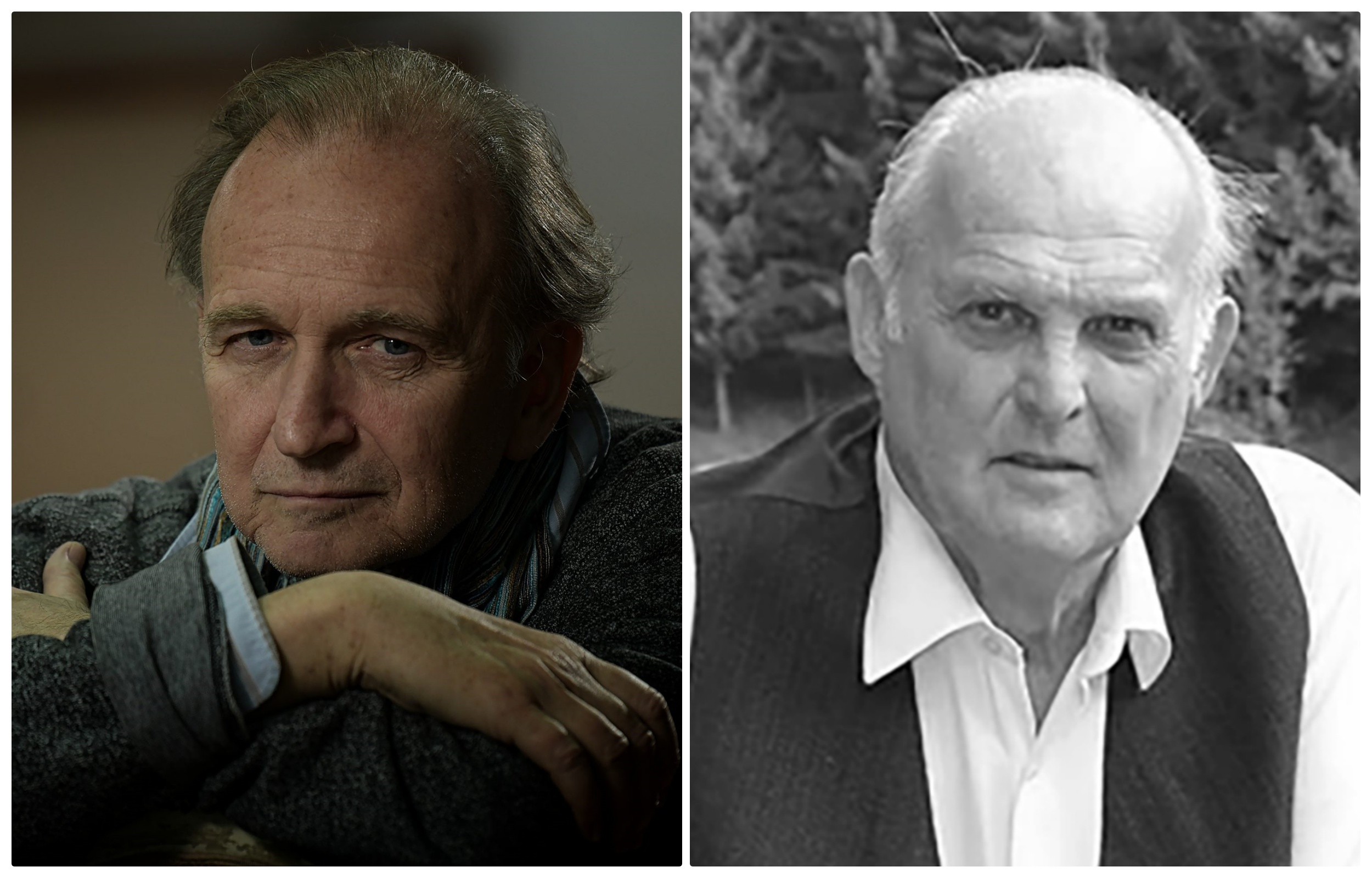 collage svetozar pšolic