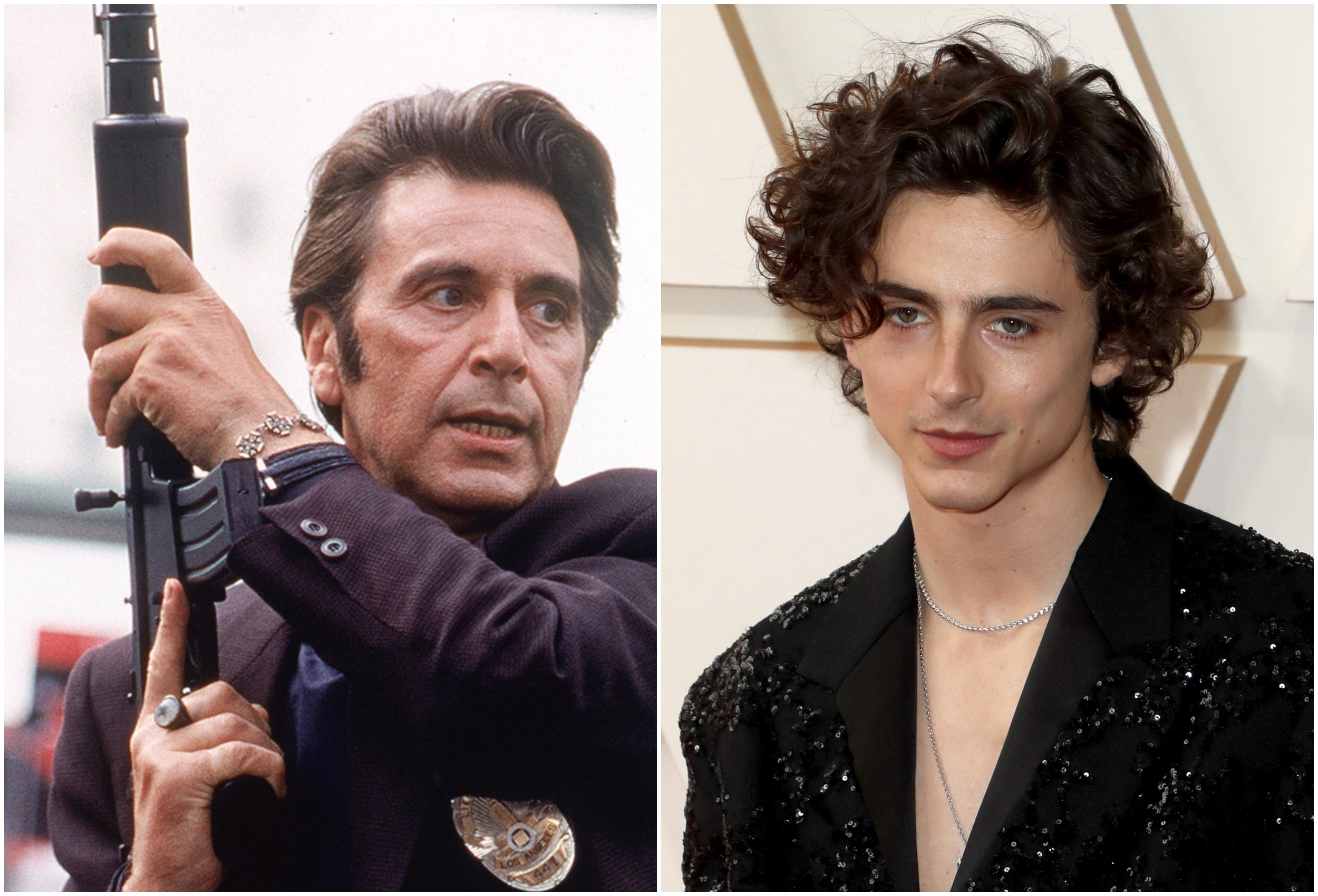 Timothee Chalamet
Al Pacino