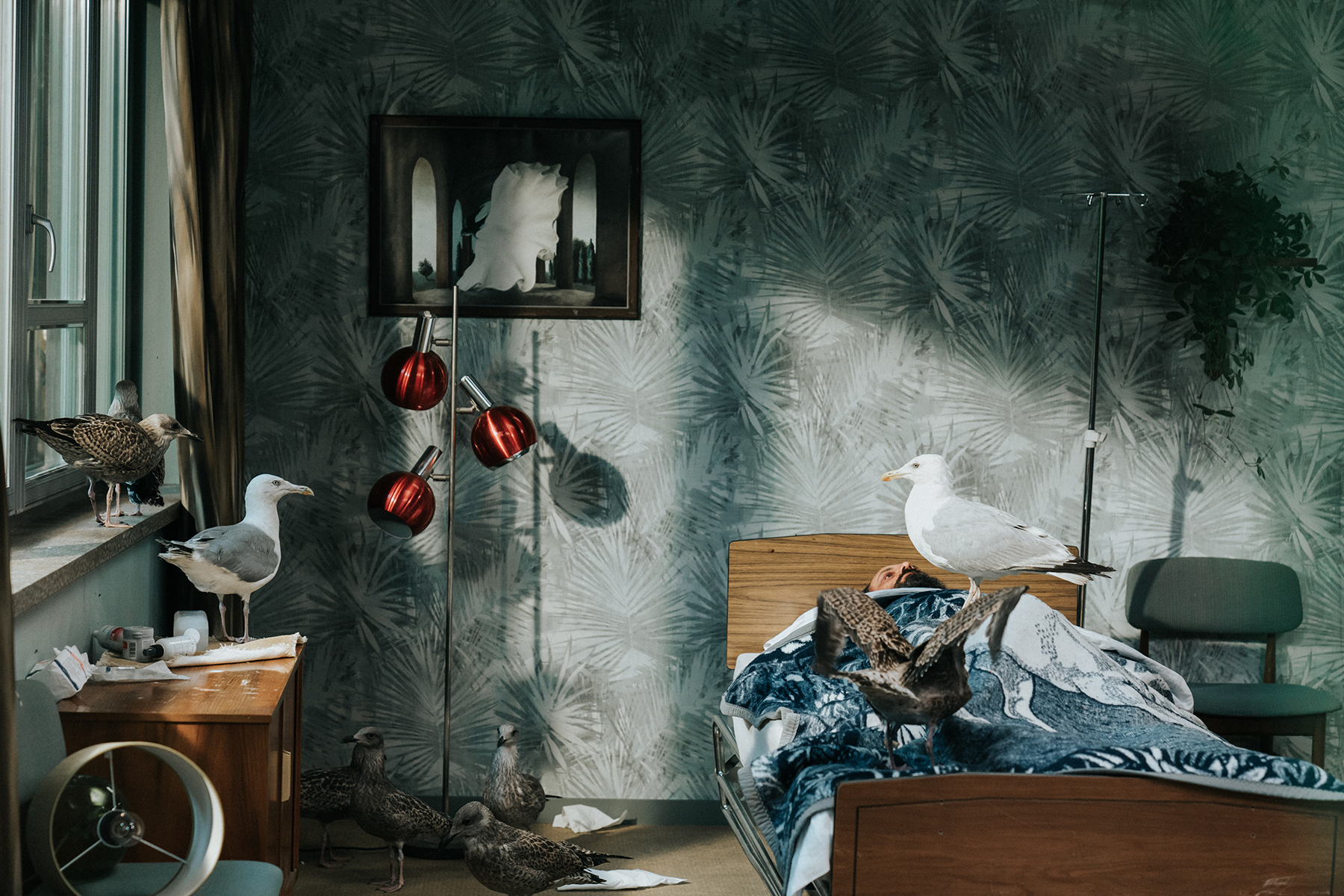 Palić Film Festival - Sutra počinje 29. Festival evropskog filma Palić