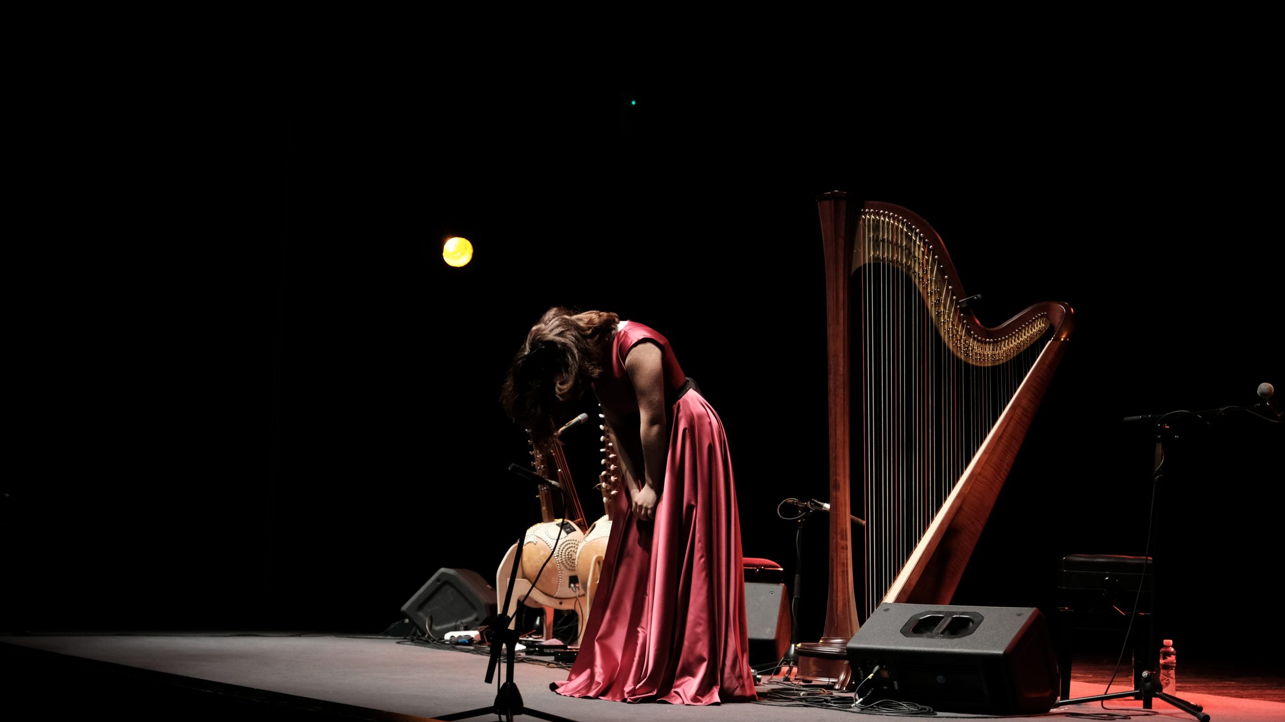 Zoja Đorđević, Zoja Djordjević, harfistkinja, harfa, koncert, najava Foto: Rade Marković