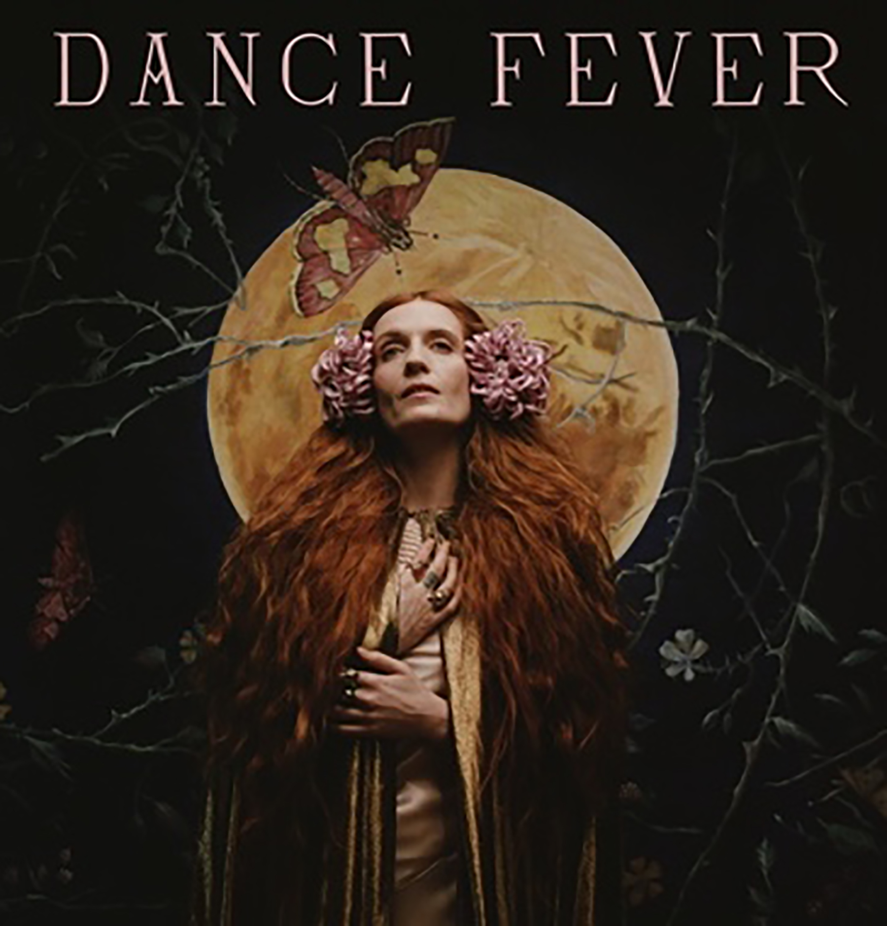 Florence and the Machine