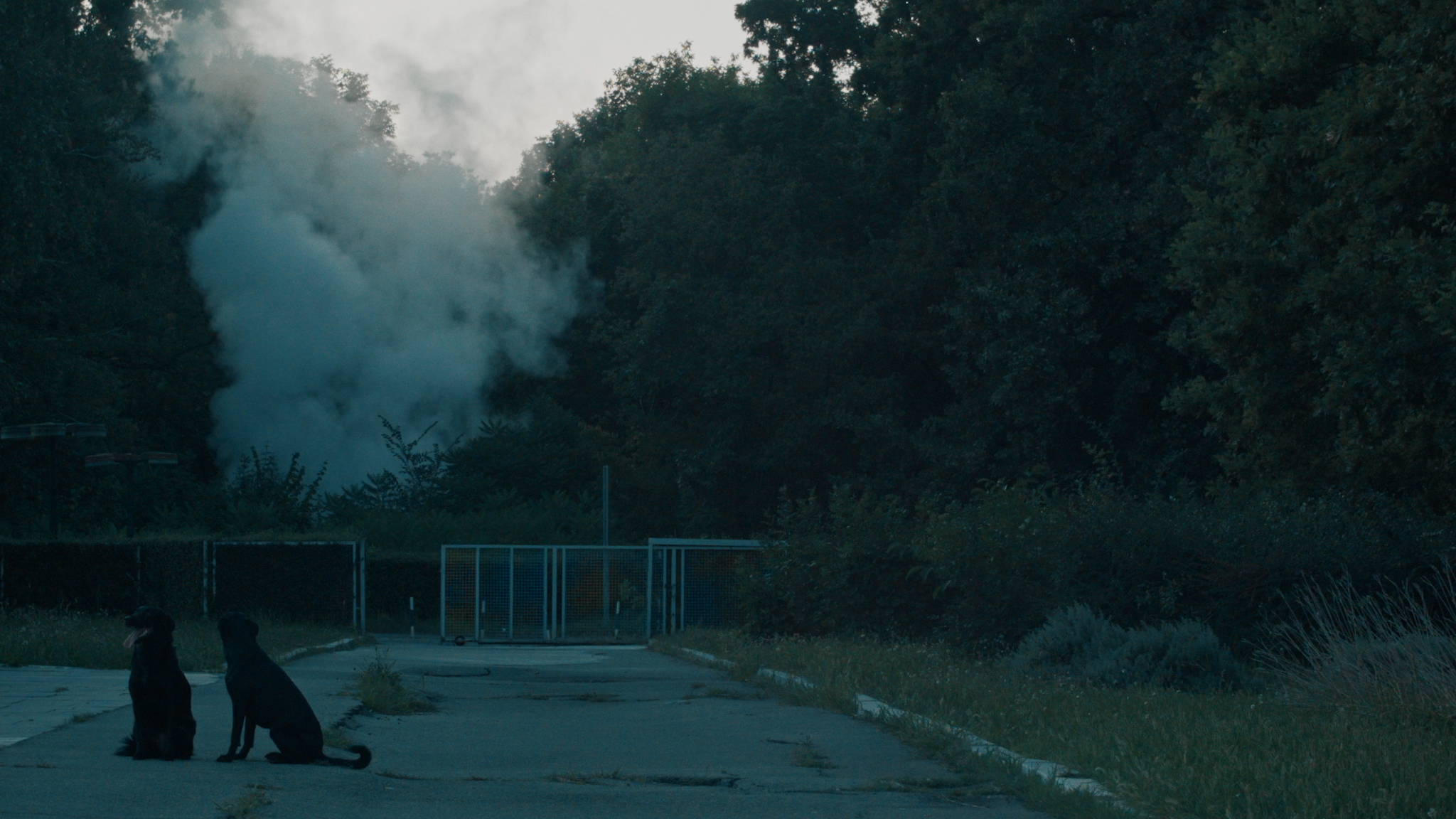 Nagrada žirija za najbolji film Luki Papiću za „Bez“ na 51. Festivalu Visions du Réel u Nionu