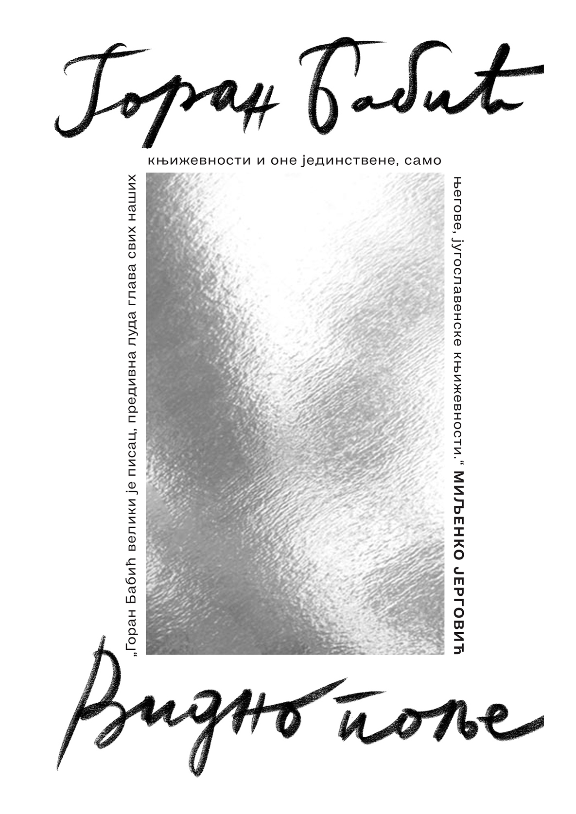 "Vidno polje" Goran Babić