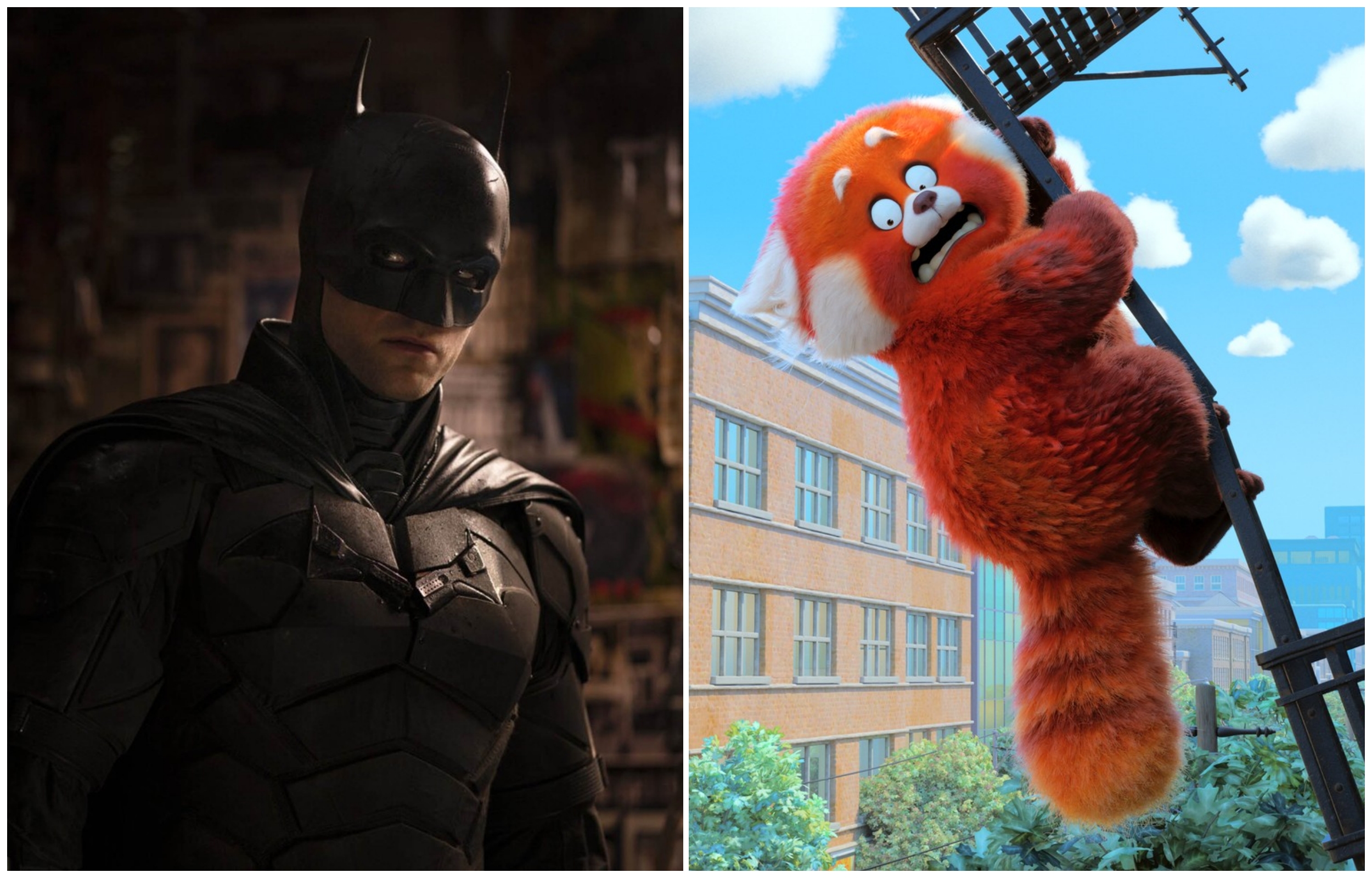 collage betmen panada