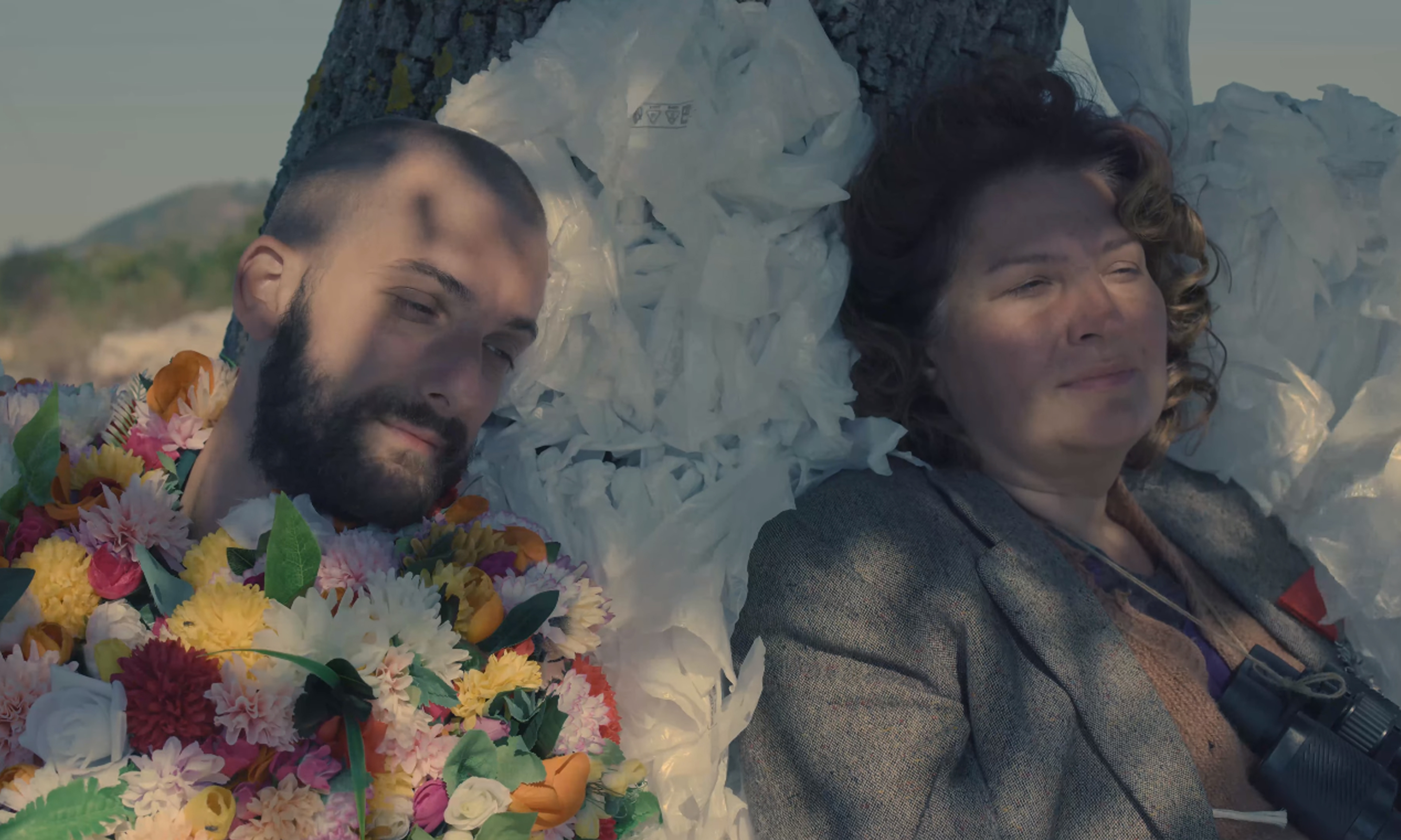 Boswellia sacra (2022) - Still 2