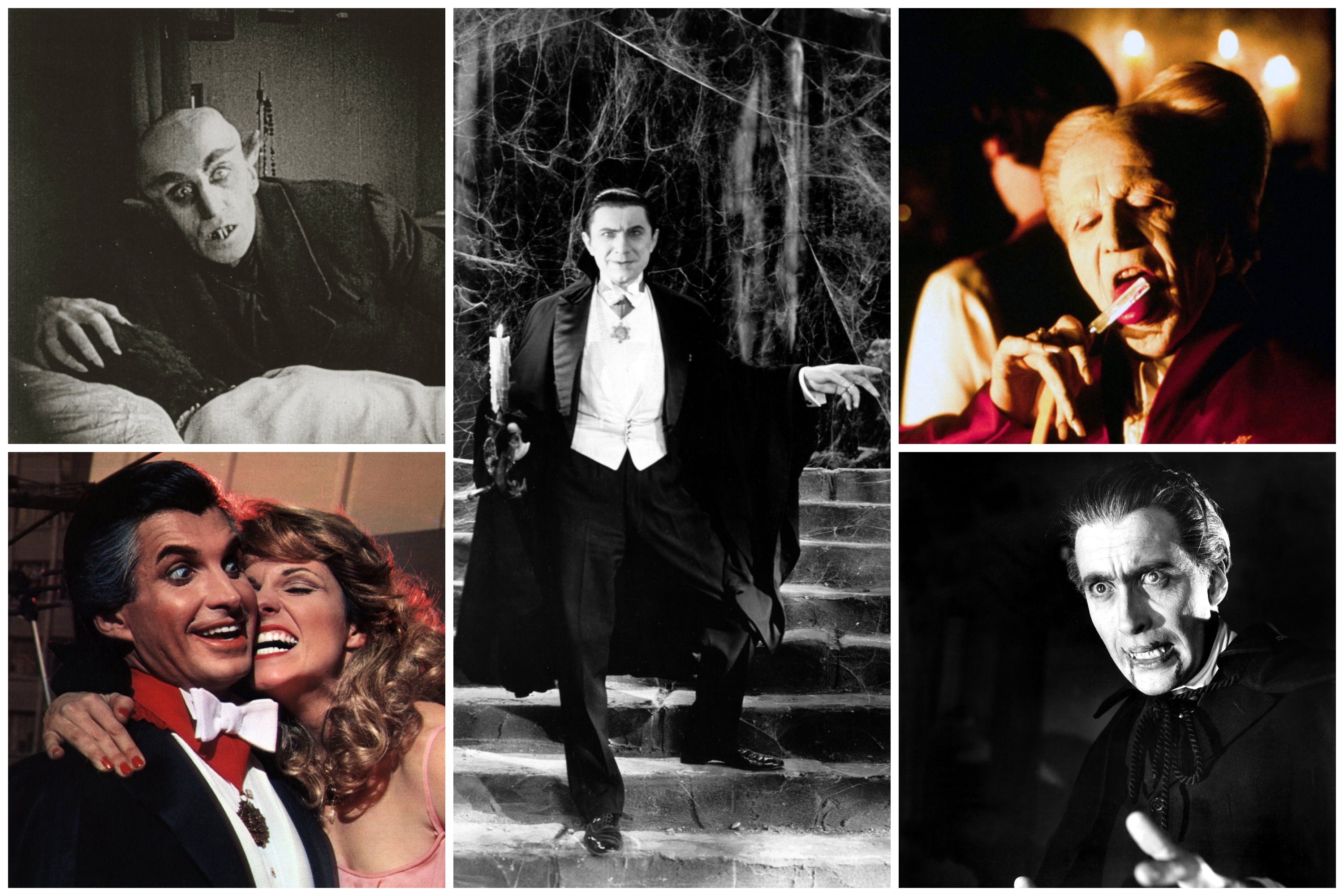 Drakula, Dracula, kombo The Hollywood Archive / Hollywood Archive / United Archives/Impress / United Archives / - / World history archive / American Zoetrope / Columbia Pic / AFP / - / Everett /  Courtesy Everett Collection/Profimedia