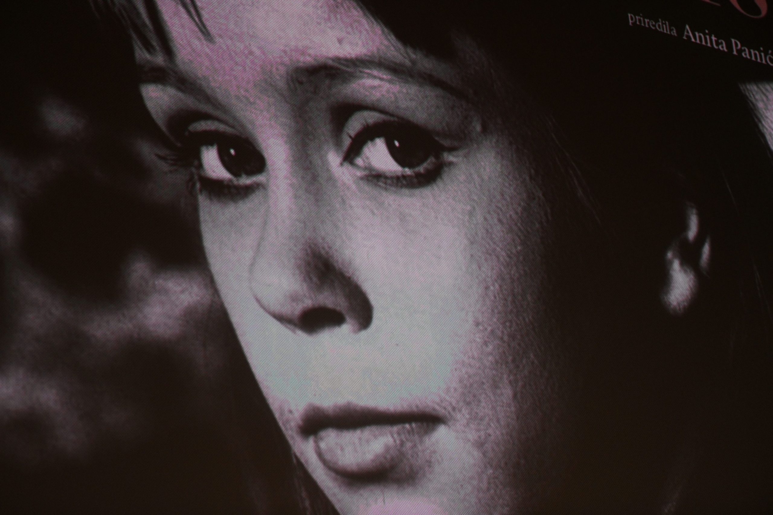 Beograd 07. mart 2022. Promocija monografije "Čarobna melanholija“ o glumici Nedi Arneric u Jugoslovenskoj kinoteci Foto:Filip Krainčanić/Nova.rs