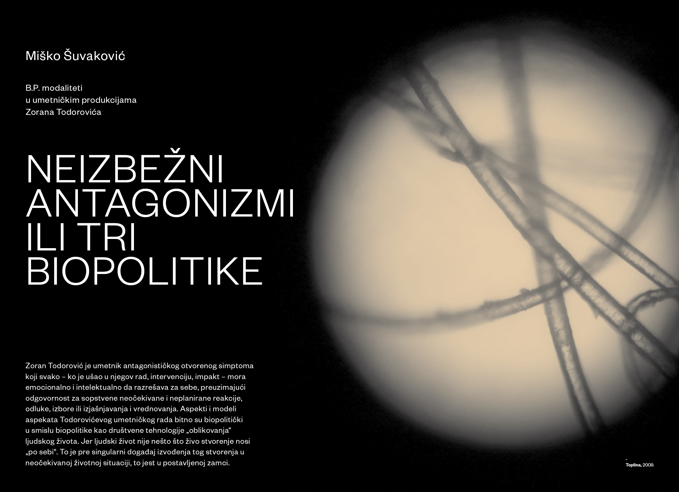 Zoran Todorović Foto: Časopis Ogled/Promo