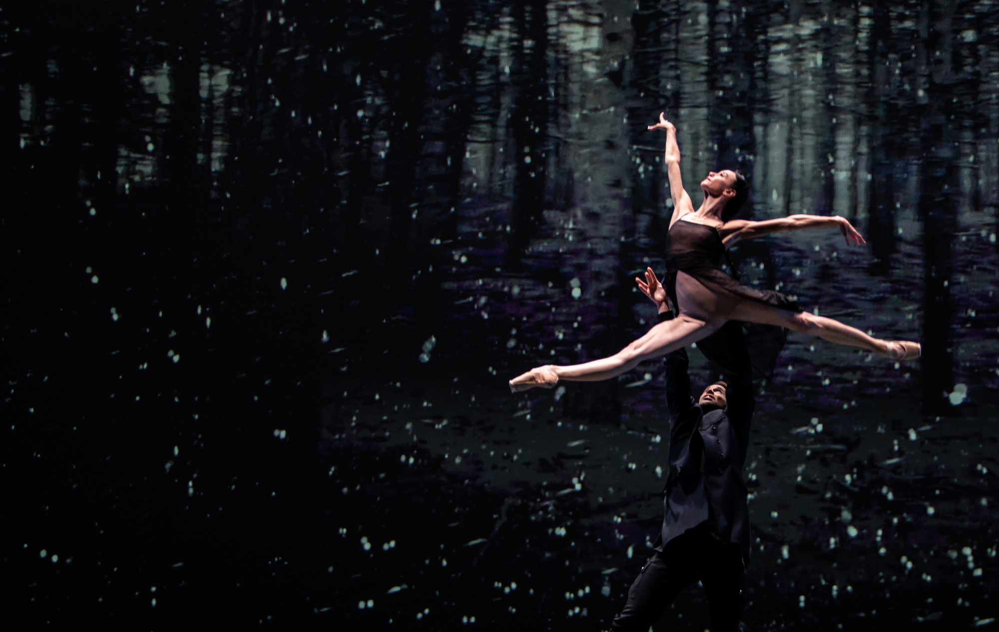 Fordlandija Foto: Beogradski festival igre/Promo