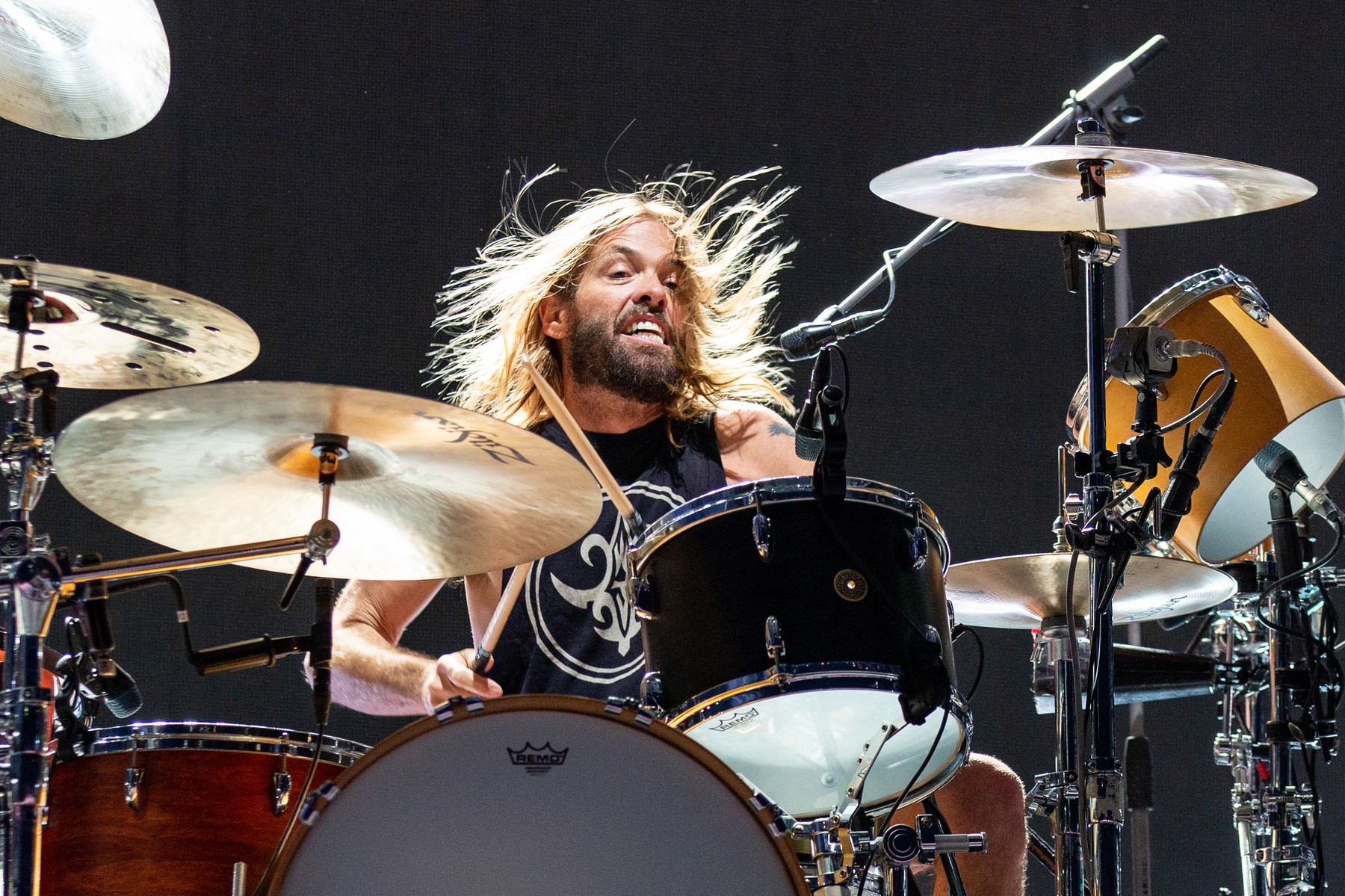 Taylor Hawkins 1972:2022 American Musician