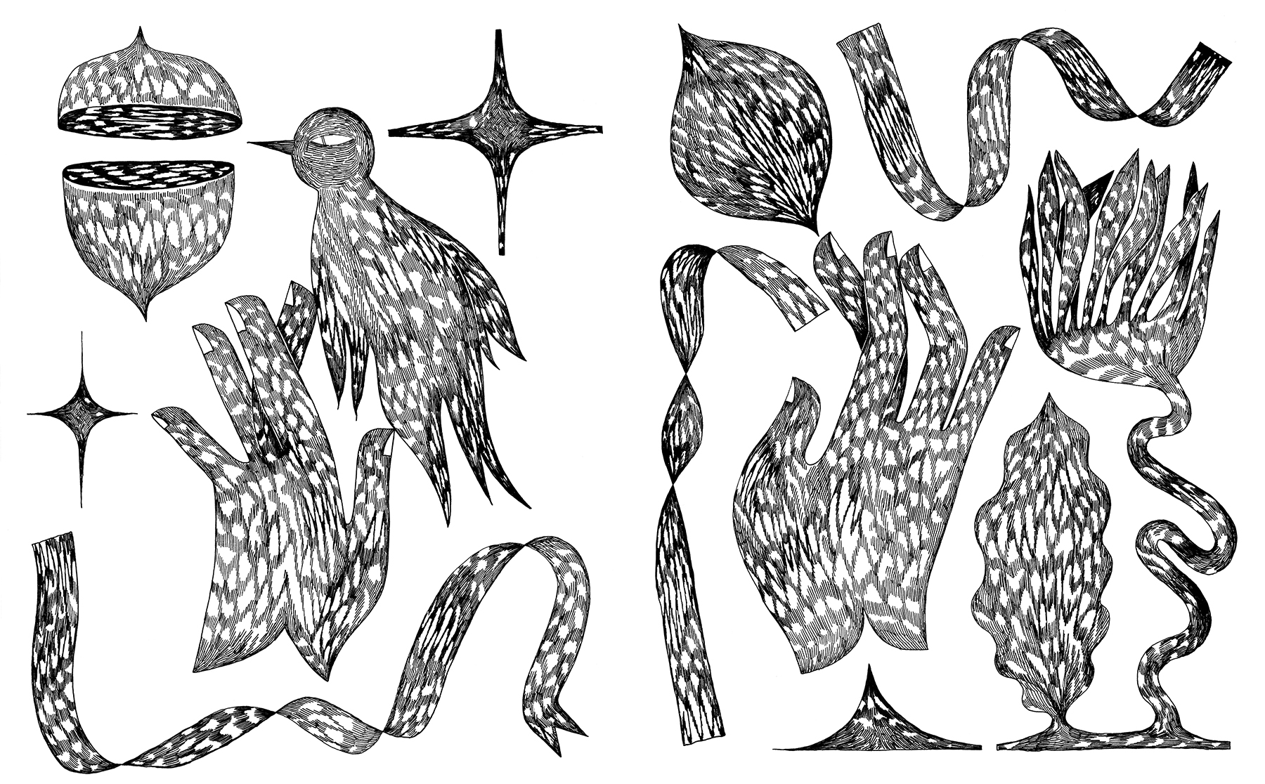 2 crteža_Obešumljeni delovi Vojvodine