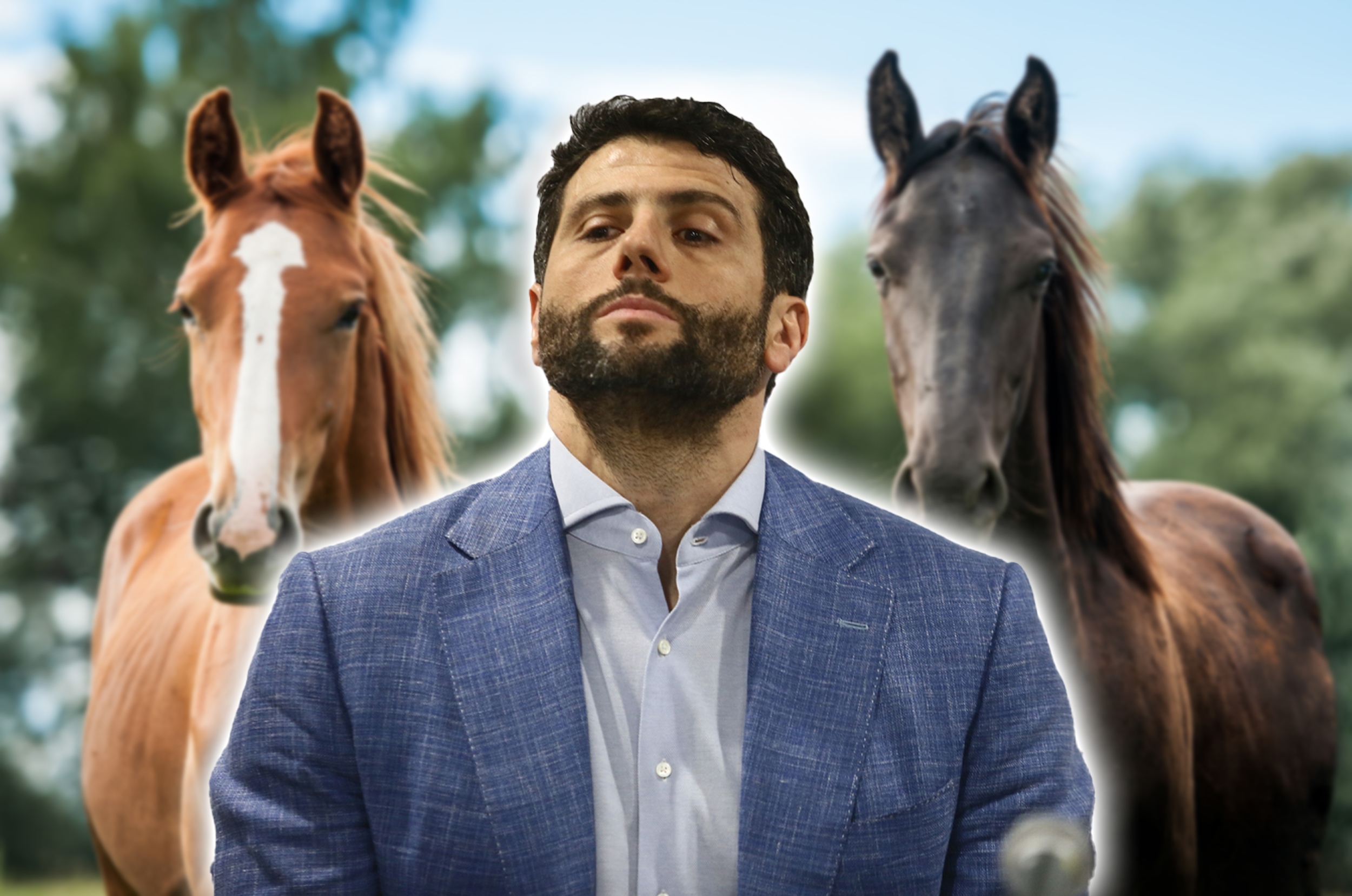 Group,Of,Three,Young,Horses,On,The,Pasture